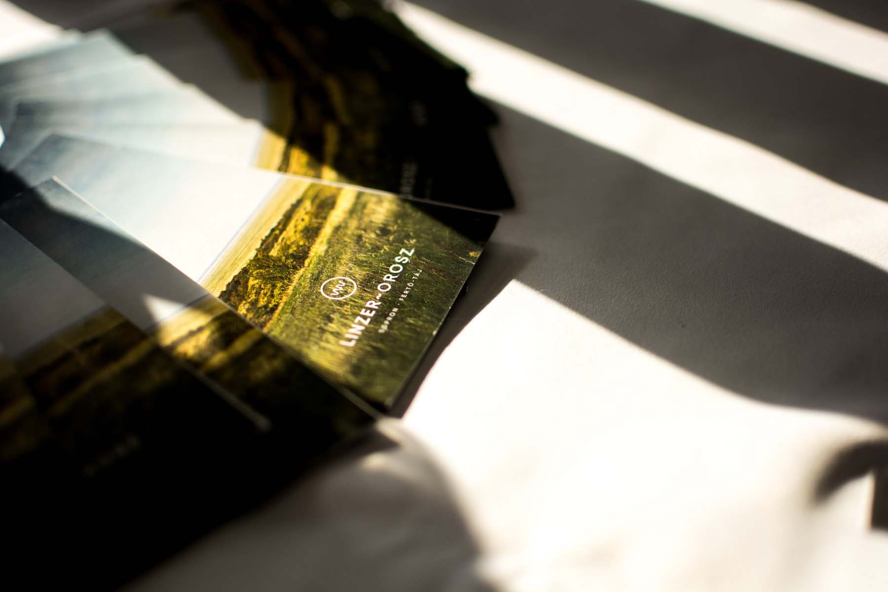 Szabó Katalin fotográfus fotográfus vizsgaremek 