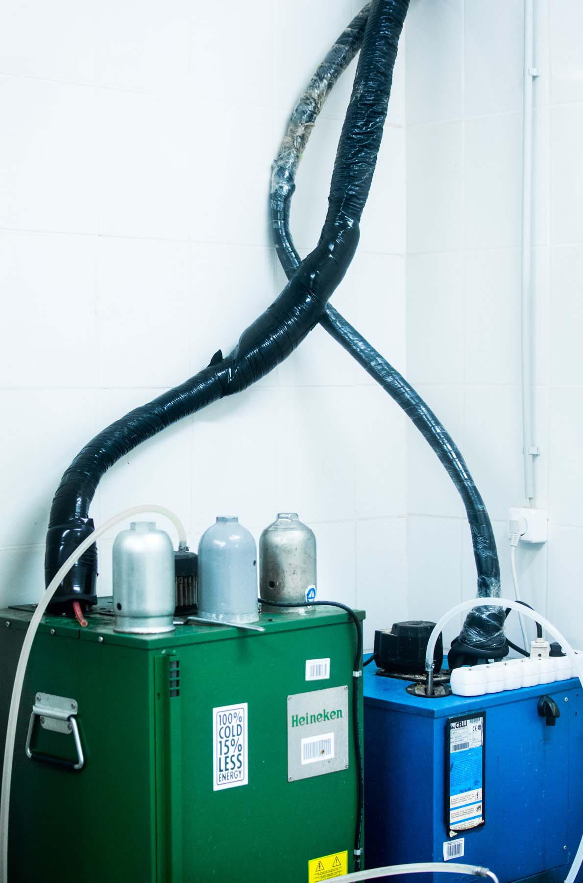 Szabó Katalin fotográfus fotográfus vizsgaremek 