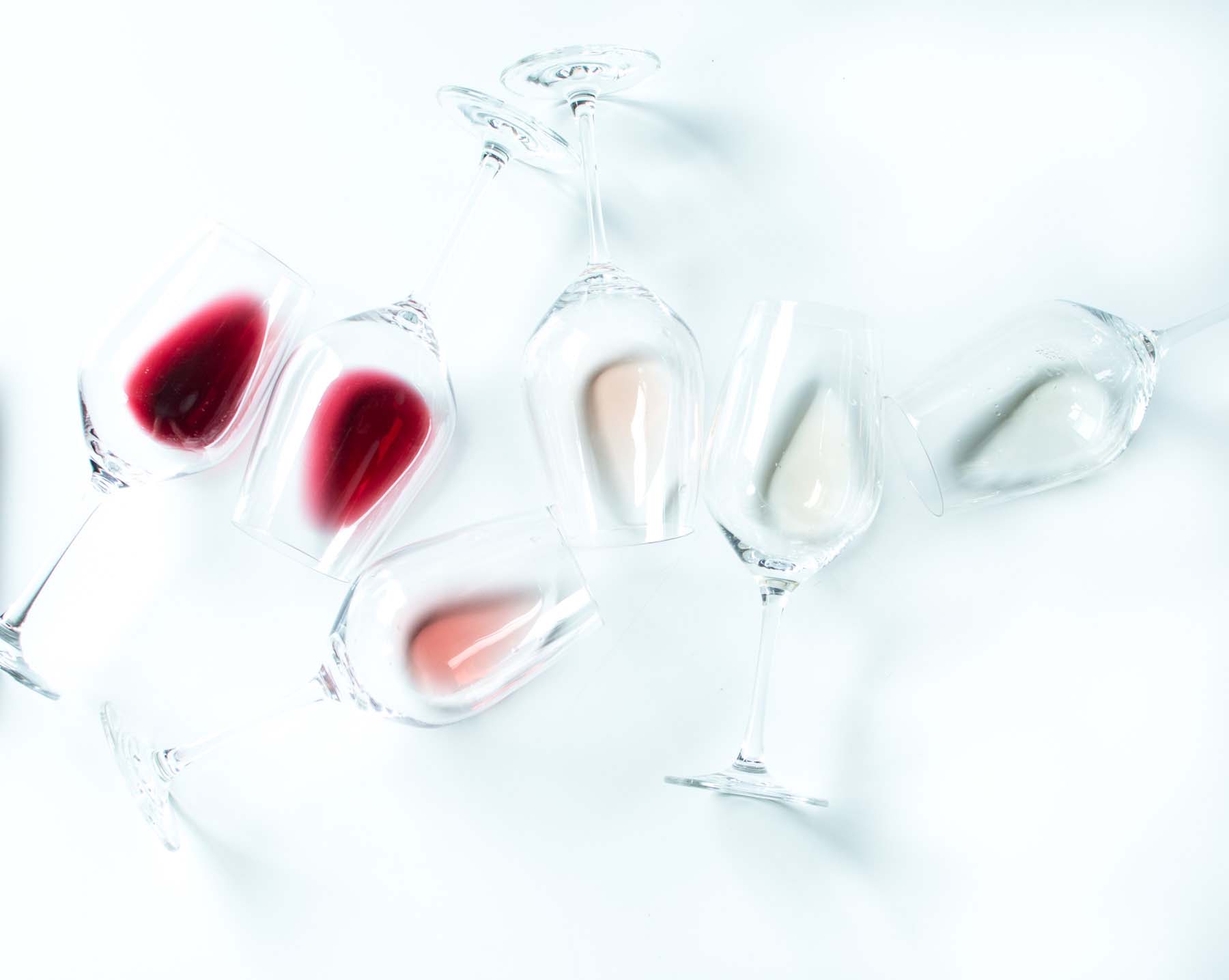 Szabó Katalin fotográfus fotográfus vizsgaremek 