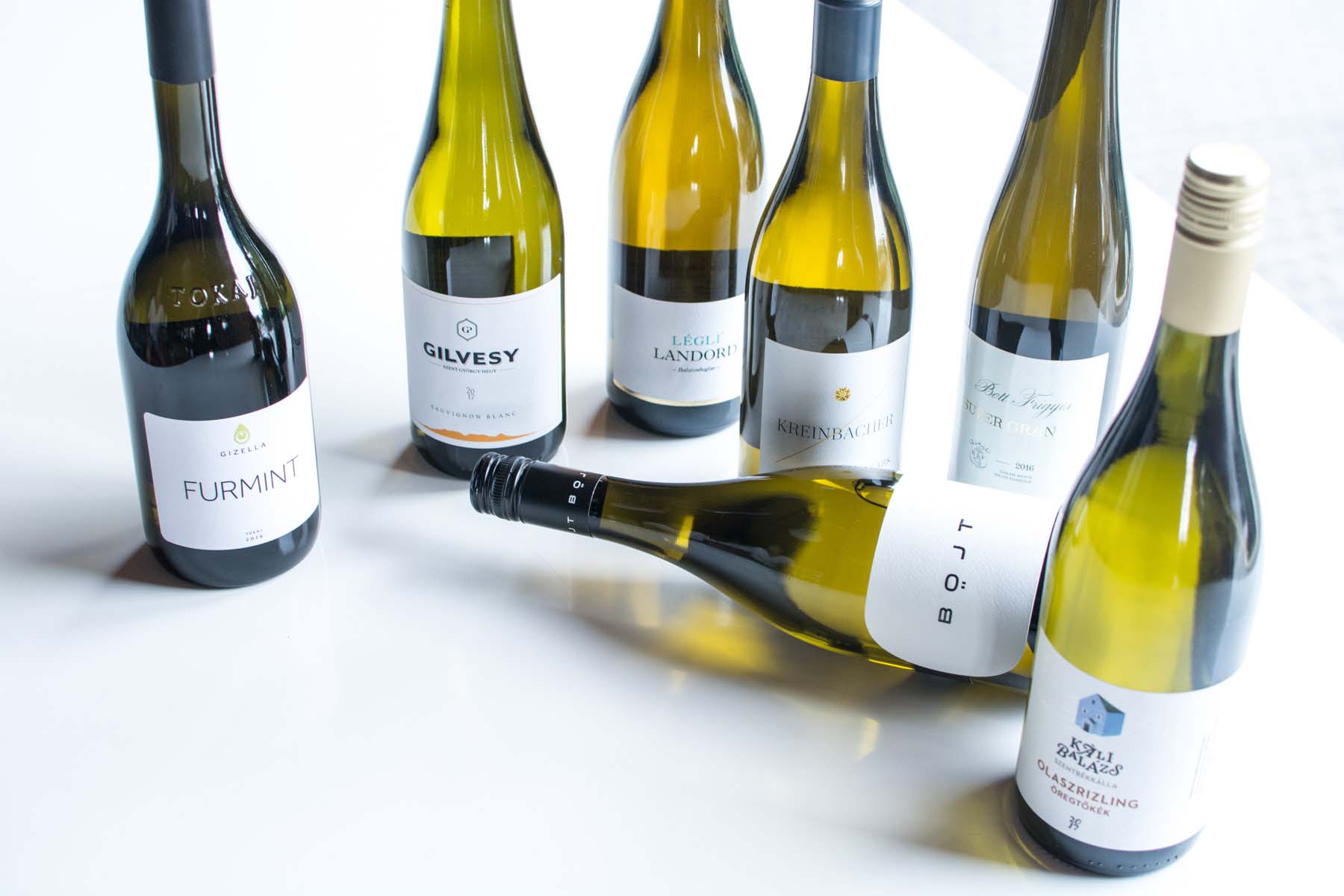 Szabó Katalin fotográfus fotográfus vizsgaremek 