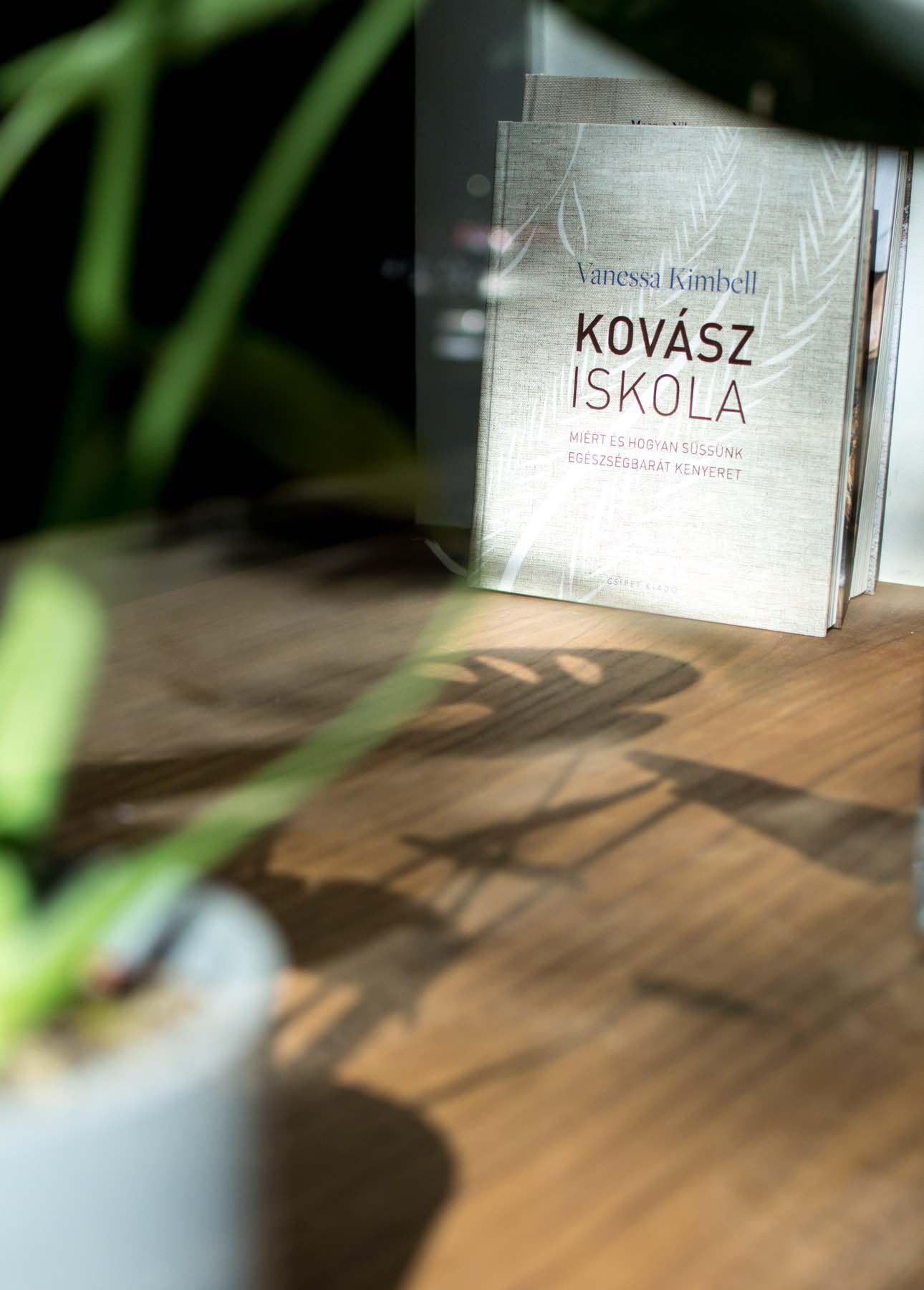 Szabó Katalin fotográfus fotográfus vizsgaremek 