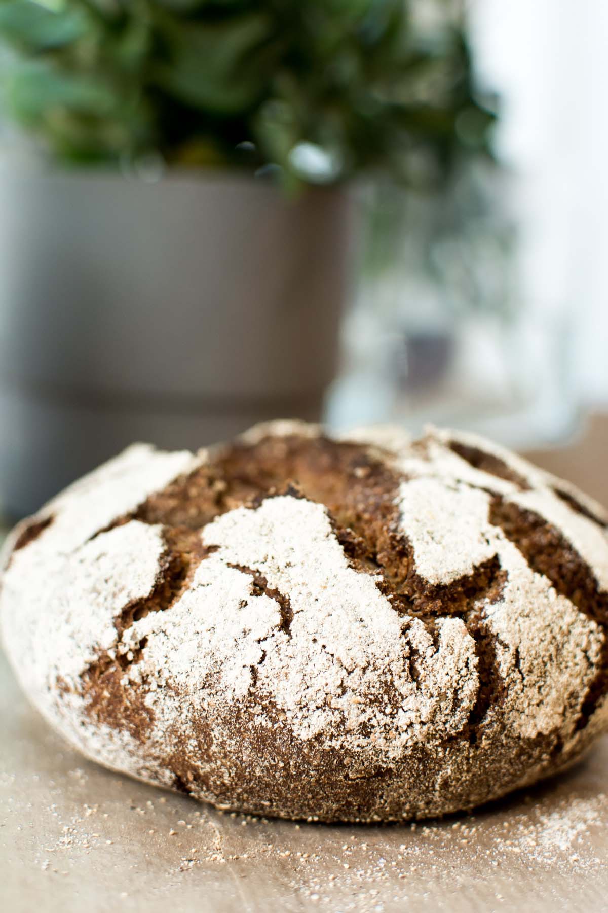 Szabó Katalin fotográfus fotográfus vizsgaremek 