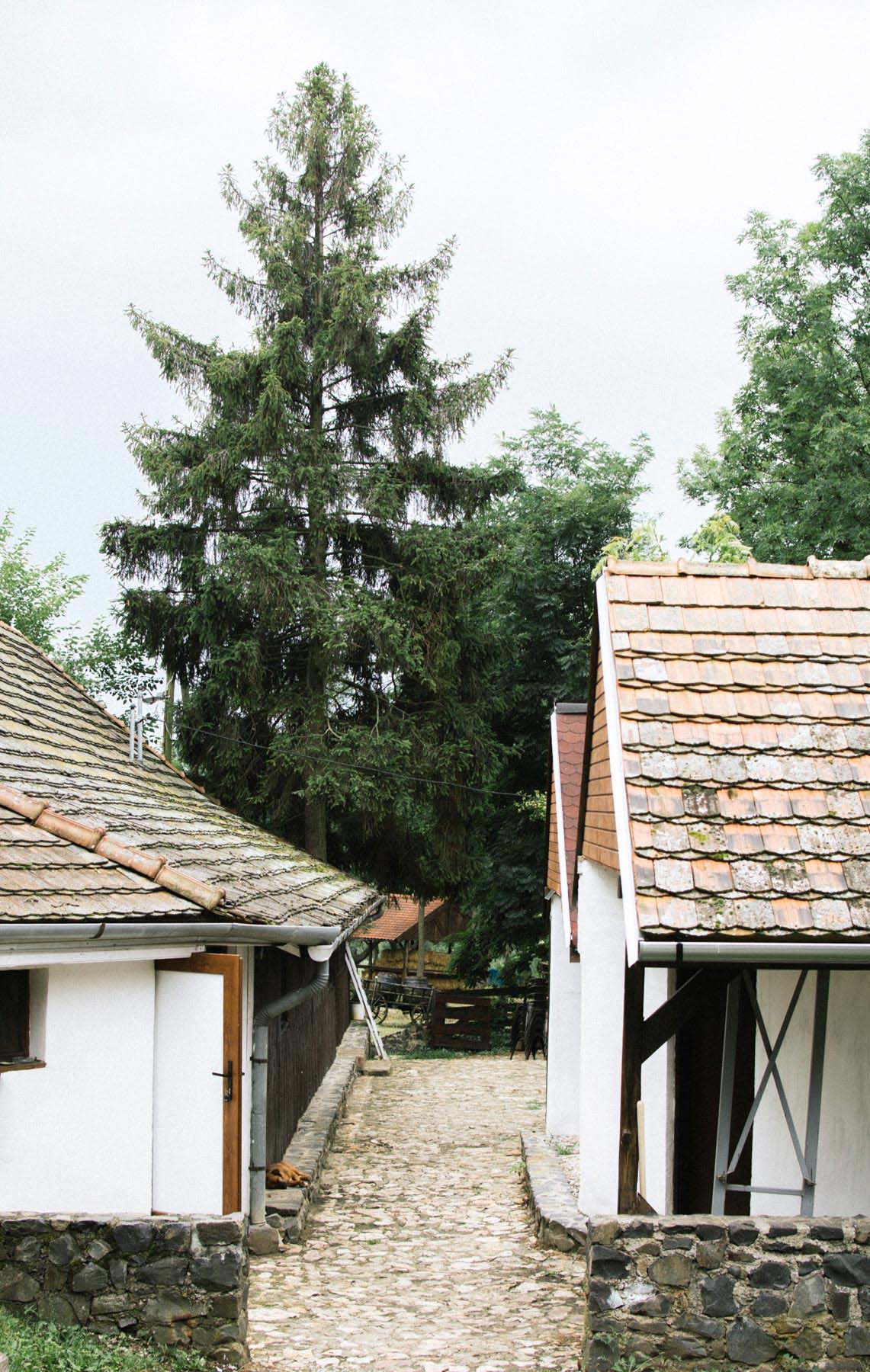 Szabó Katalin fotográfus fotográfus vizsgaremek 