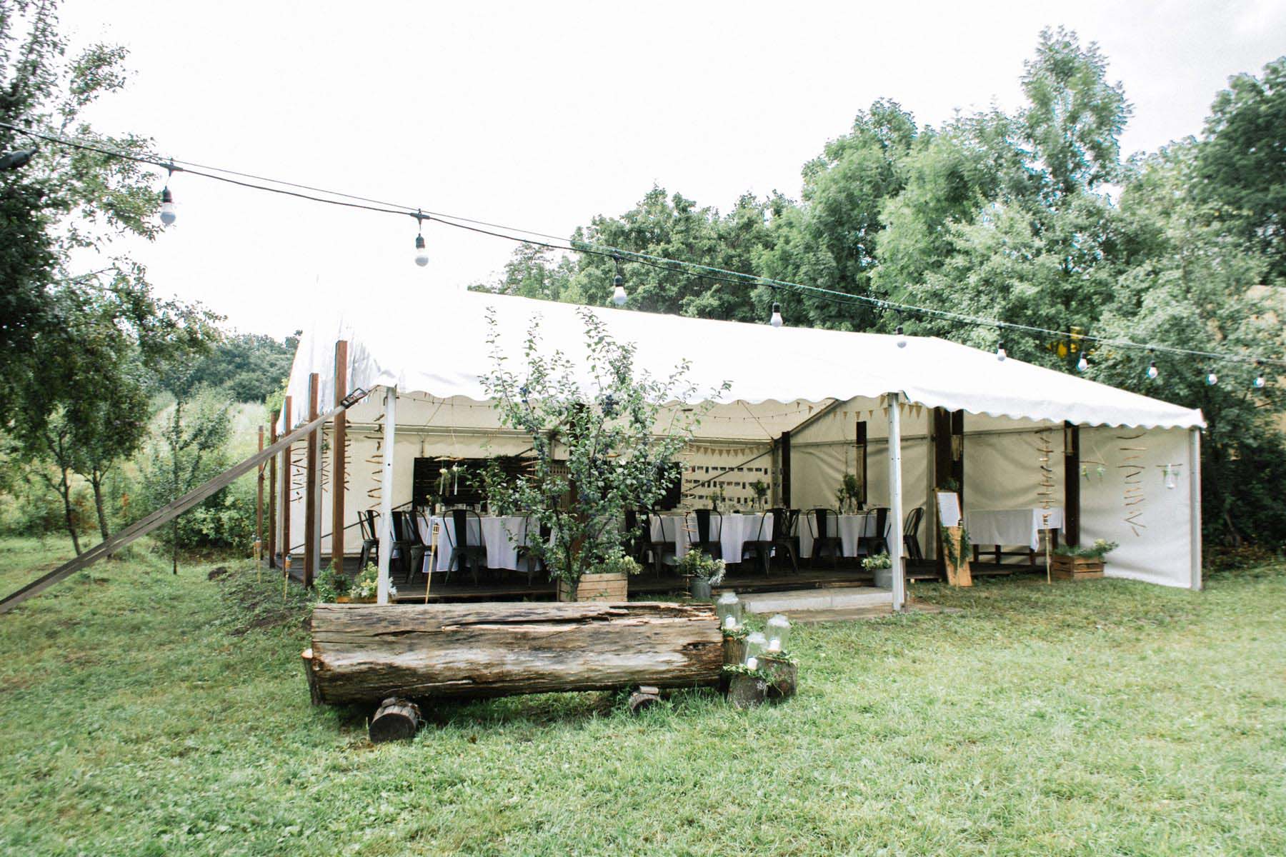 Szabó Katalin fotográfus fotográfus vizsgaremek 