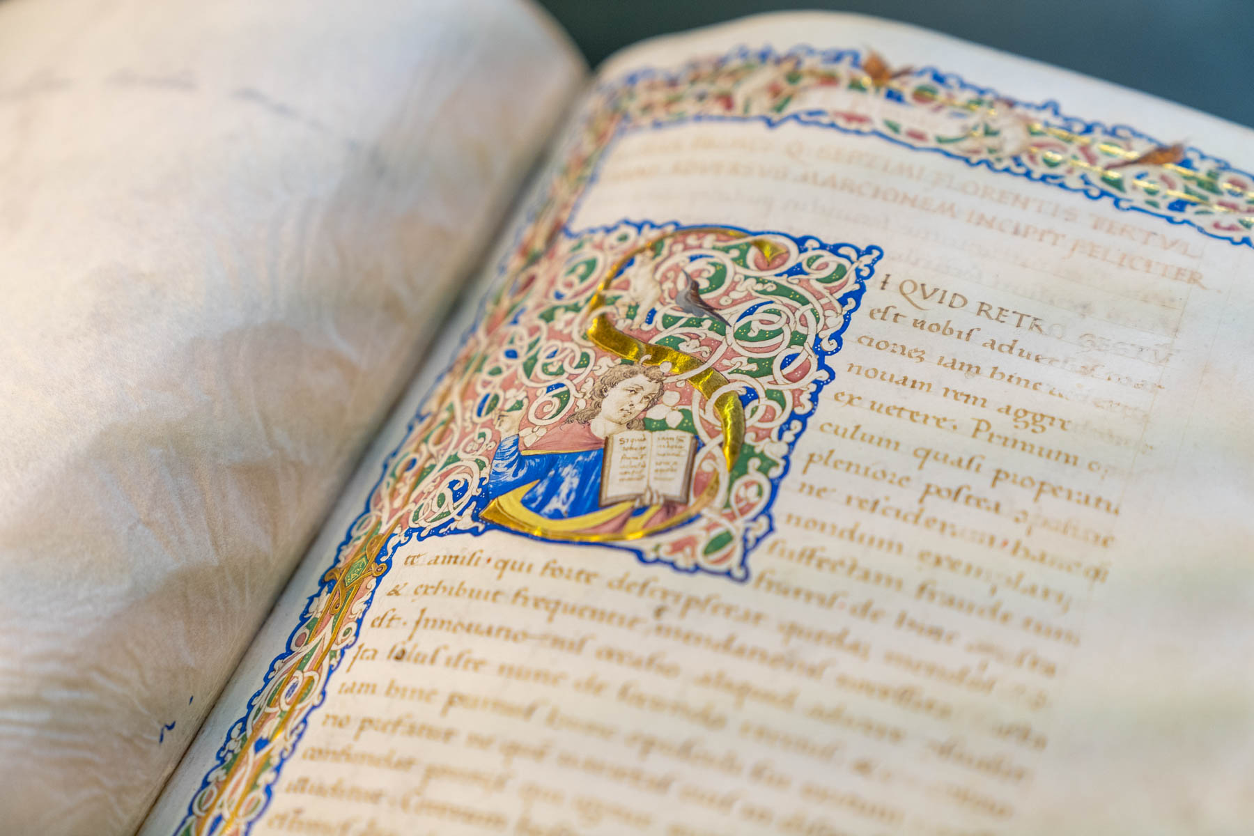 Kakukk Zita fotográfus fotográfus vizsgaremek 