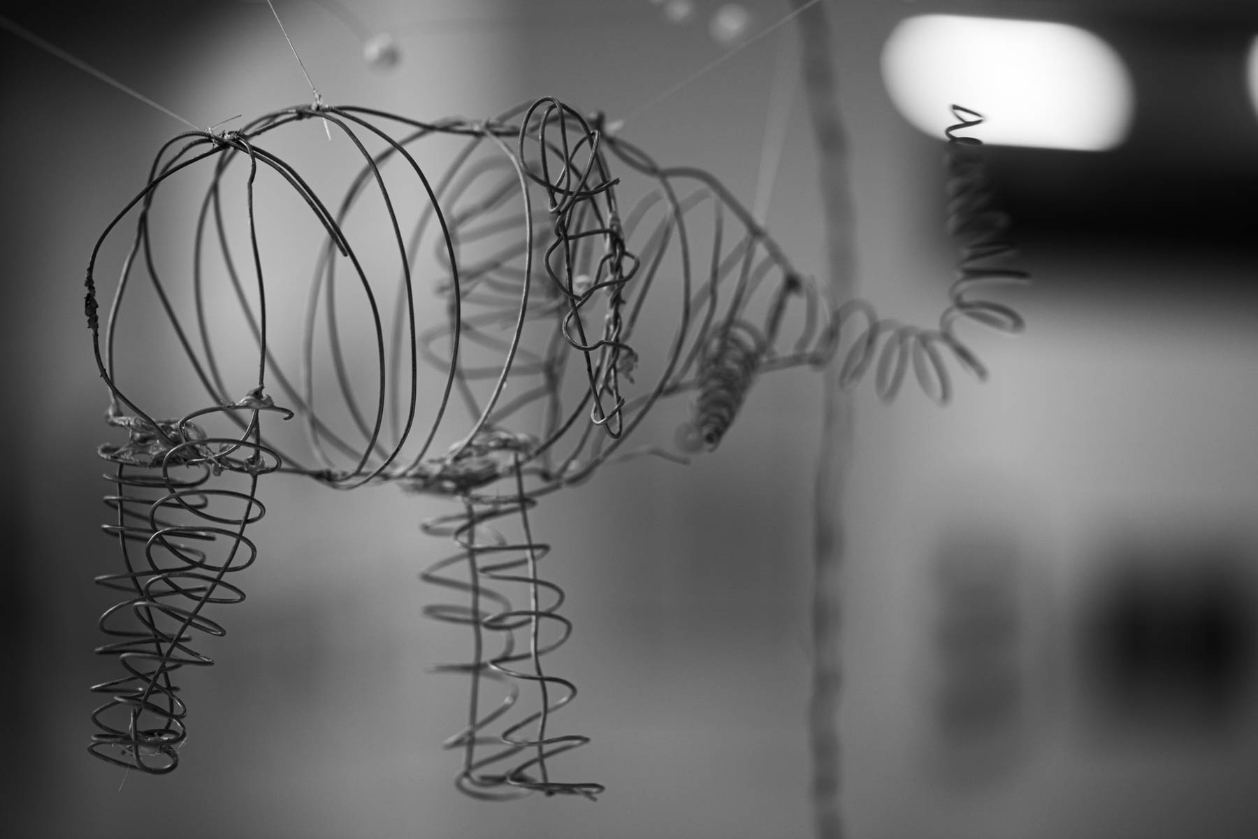 Osztotics-Rajnai Szandra fotográfus fotográfus vizsgaremek 