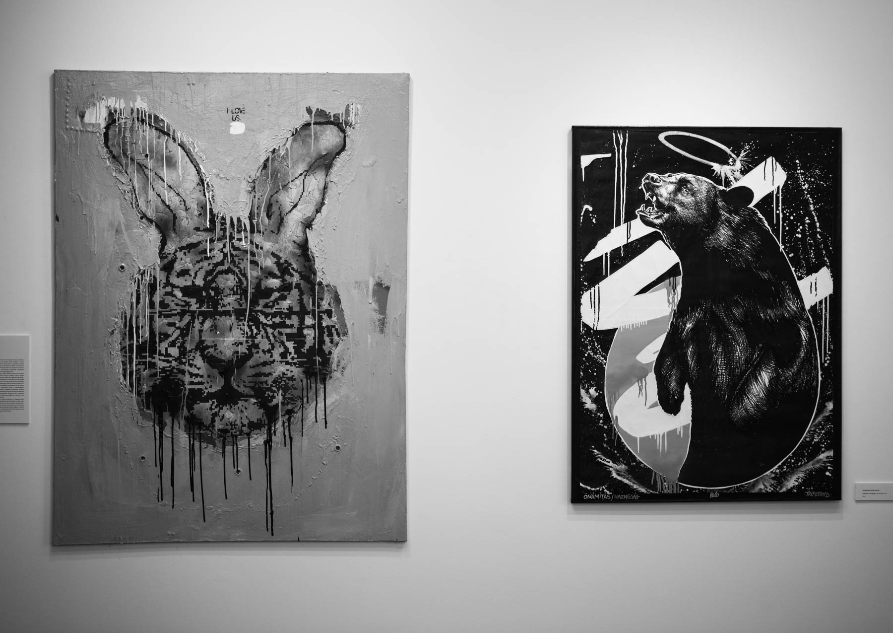 Osztotics-Rajnai Szandra fotográfus fotográfus vizsgaremek 