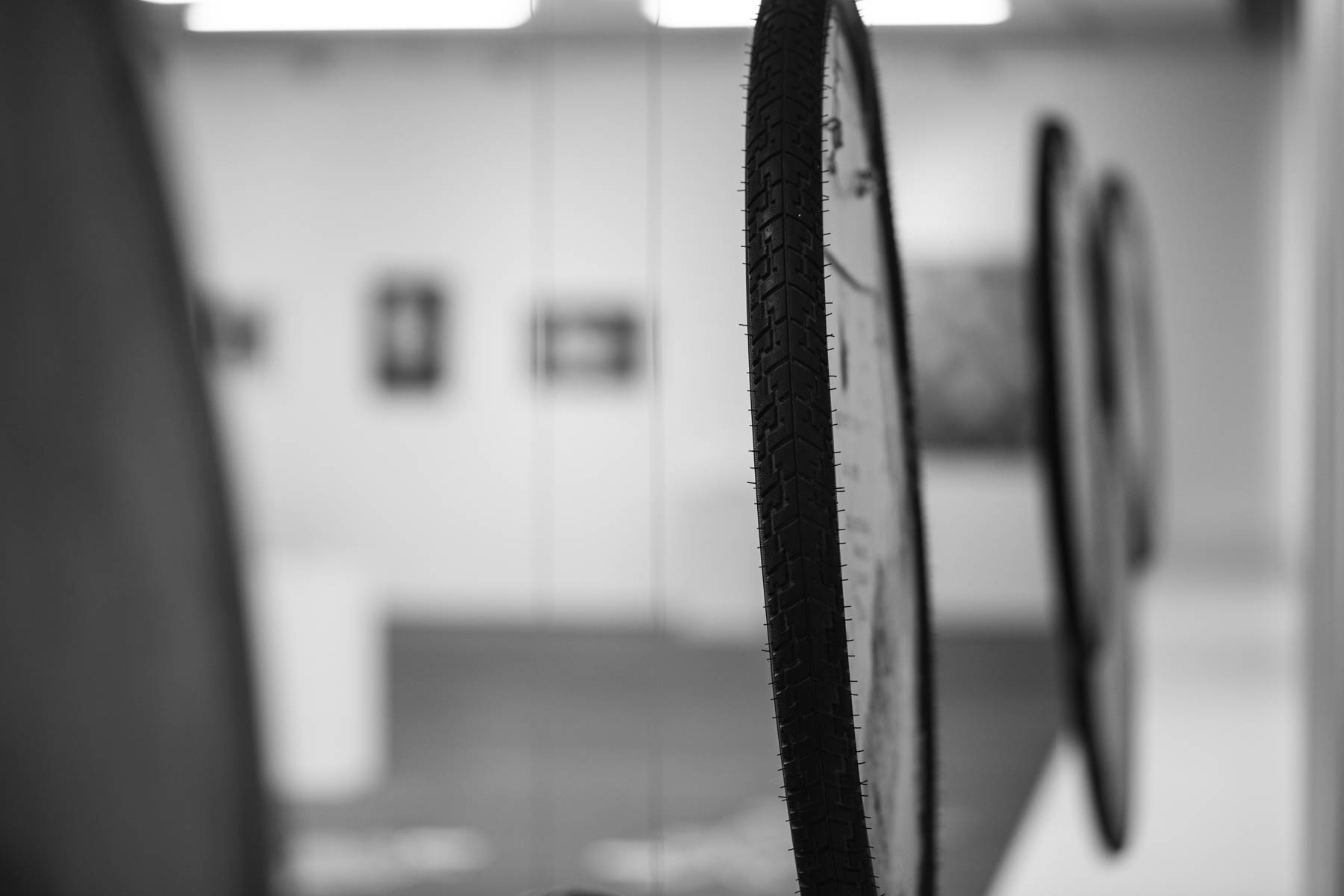 Osztotics-Rajnai Szandra fotográfus fotográfus vizsgaremek 