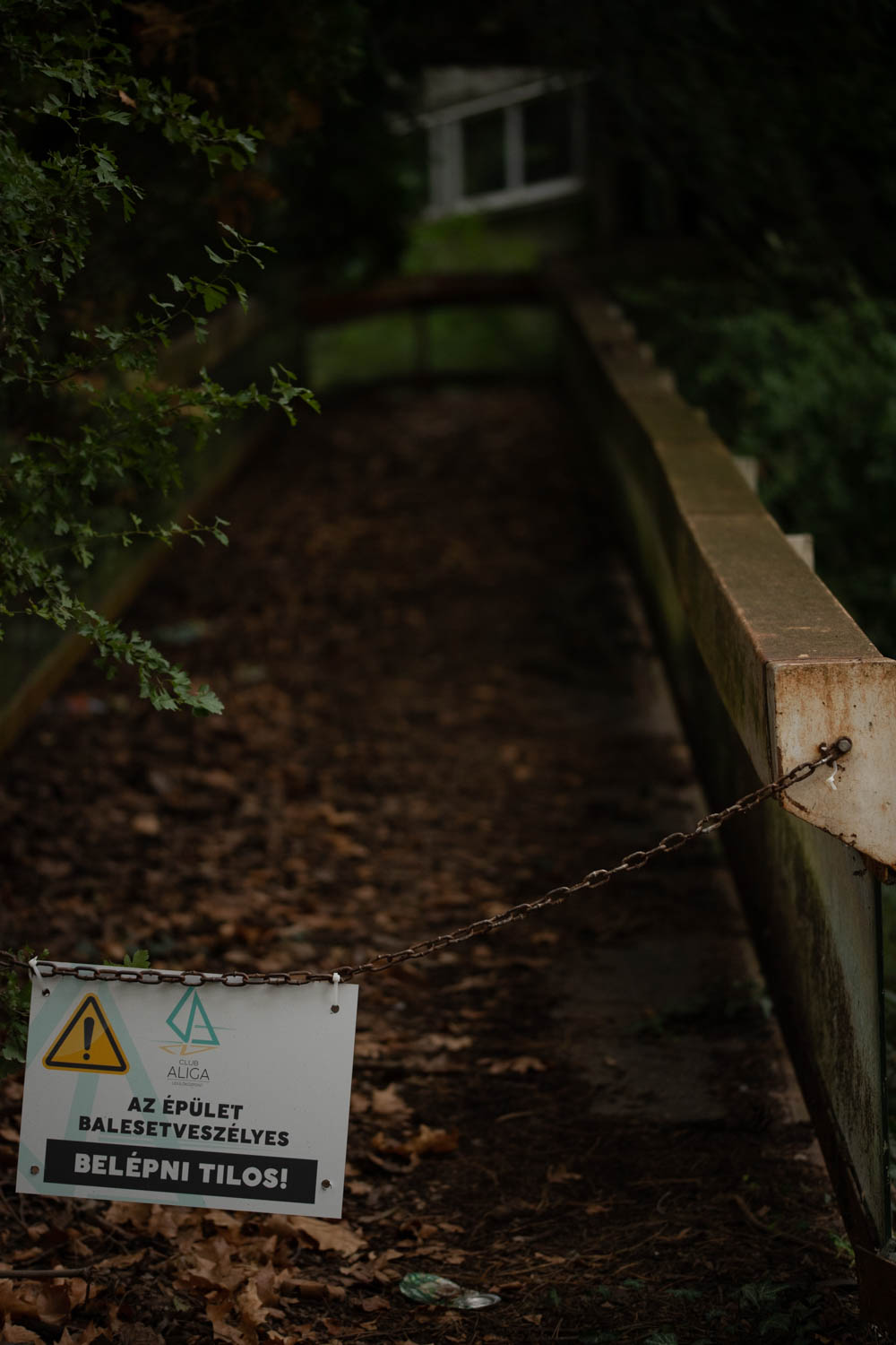 Osztotics-Rajnai Szandra fotográfus fotográfus vizsgaremek 