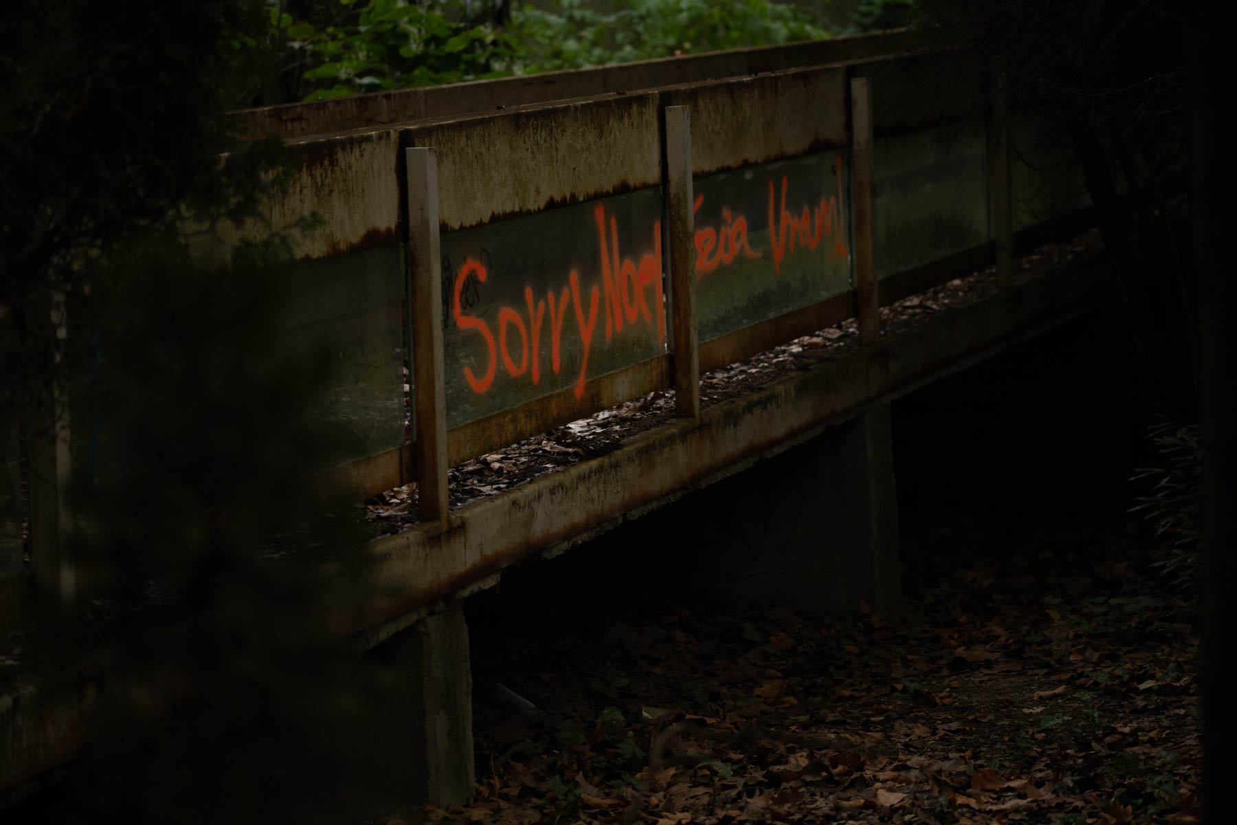 Osztotics-Rajnai Szandra fotográfus fotográfus vizsgaremek 