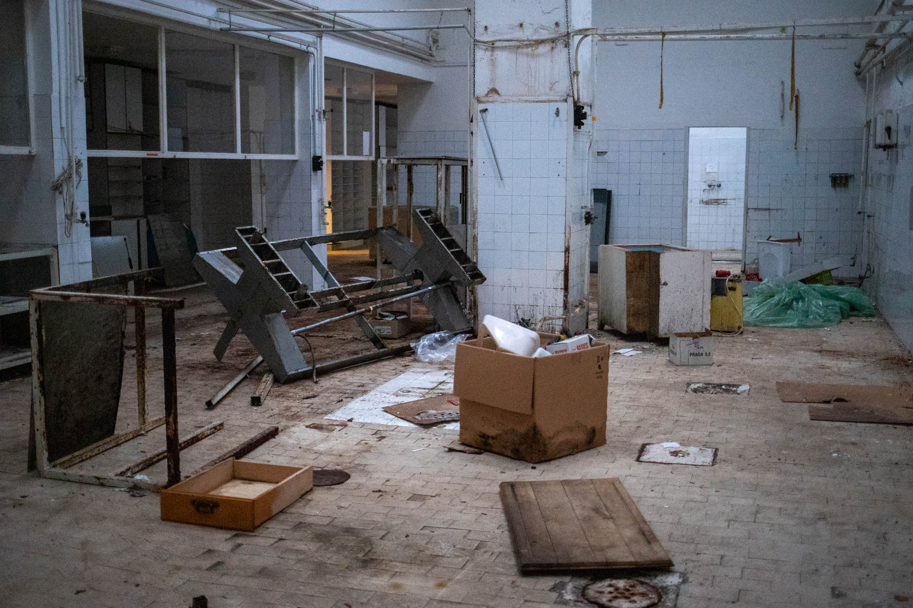 Osztotics-Rajnai Szandra fotográfus fotográfus vizsgaremek 