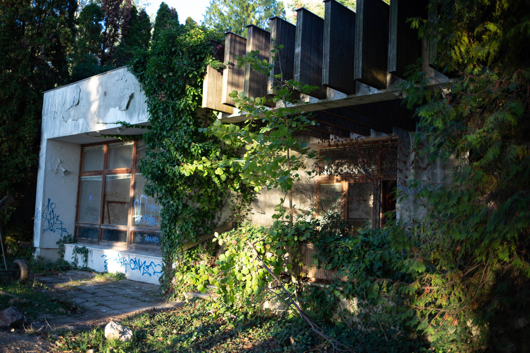 Osztotics-Rajnai Szandra fotográfus fotográfus vizsgaremek 