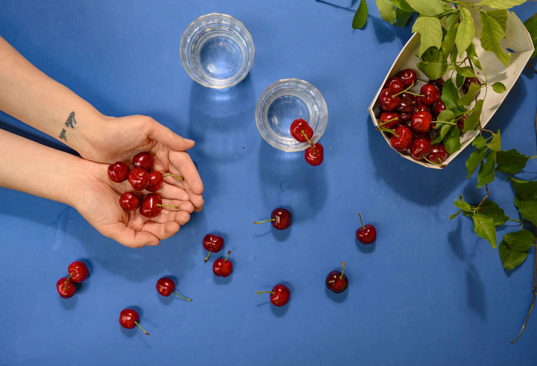 Szabó Rebeka fotográfus fotográfus vizsgaremek 
