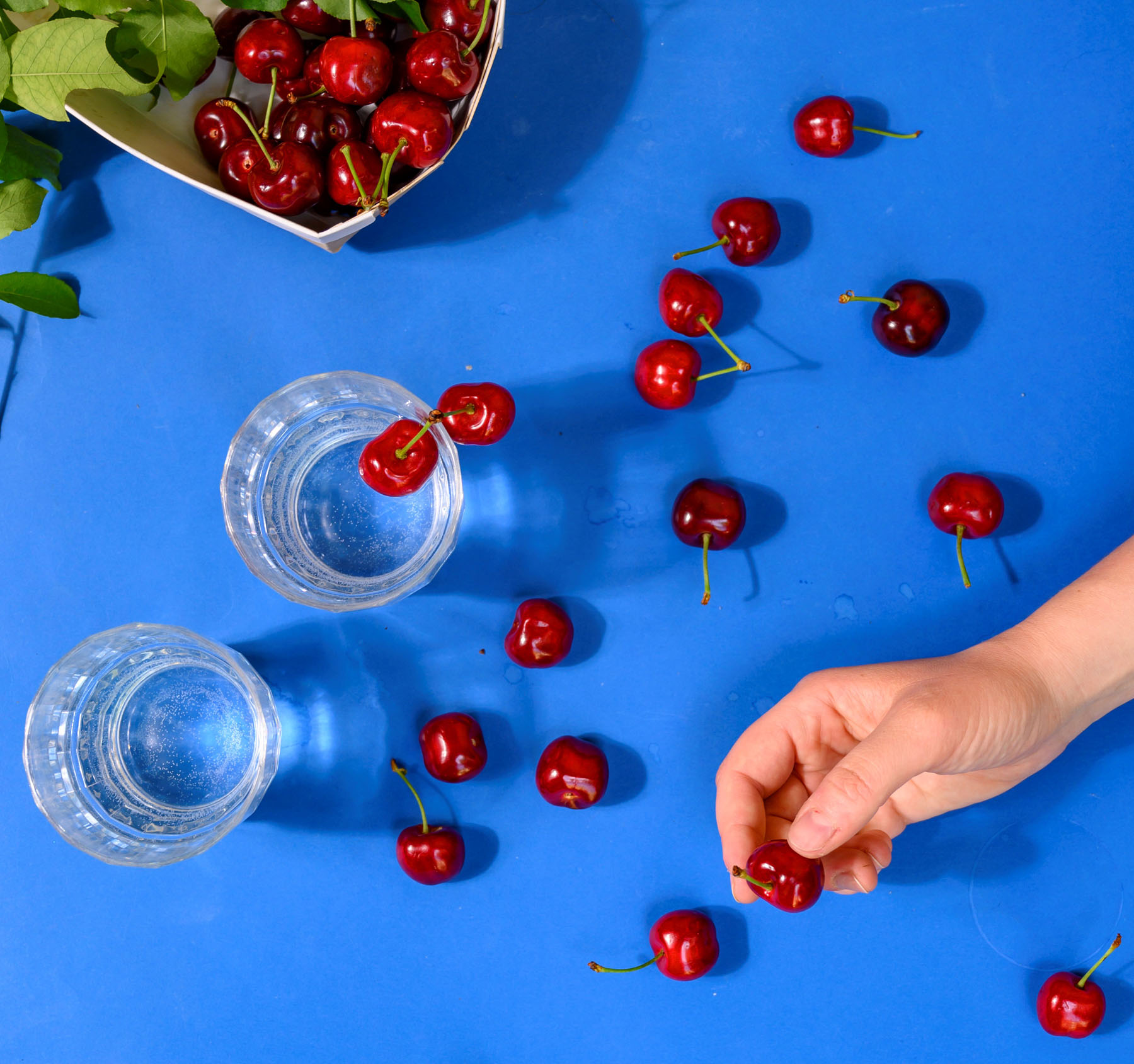 Szabó Rebeka fotográfus fotográfus vizsgaremek 