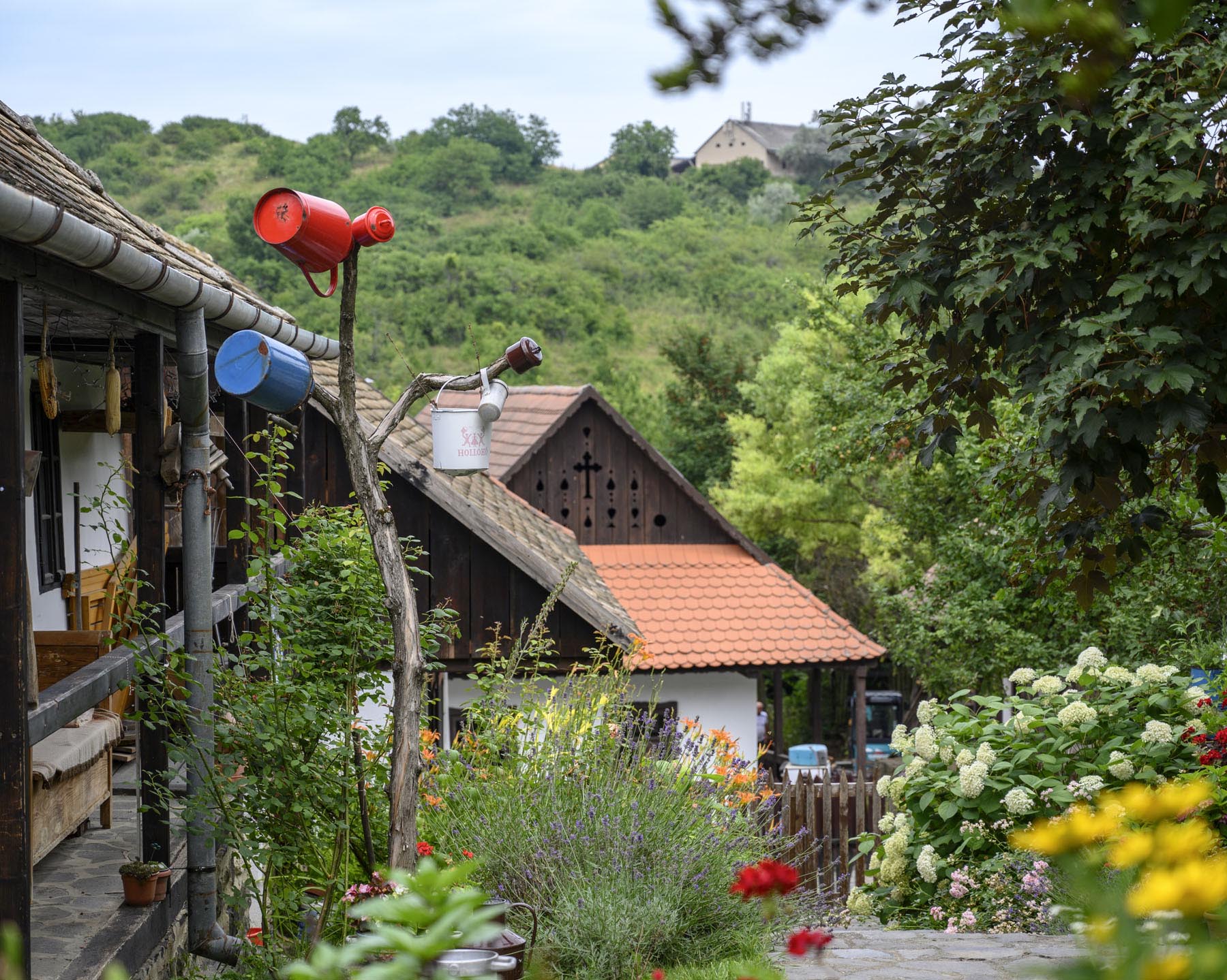 Szabó Rebeka fotográfus fotográfus vizsgaremek 