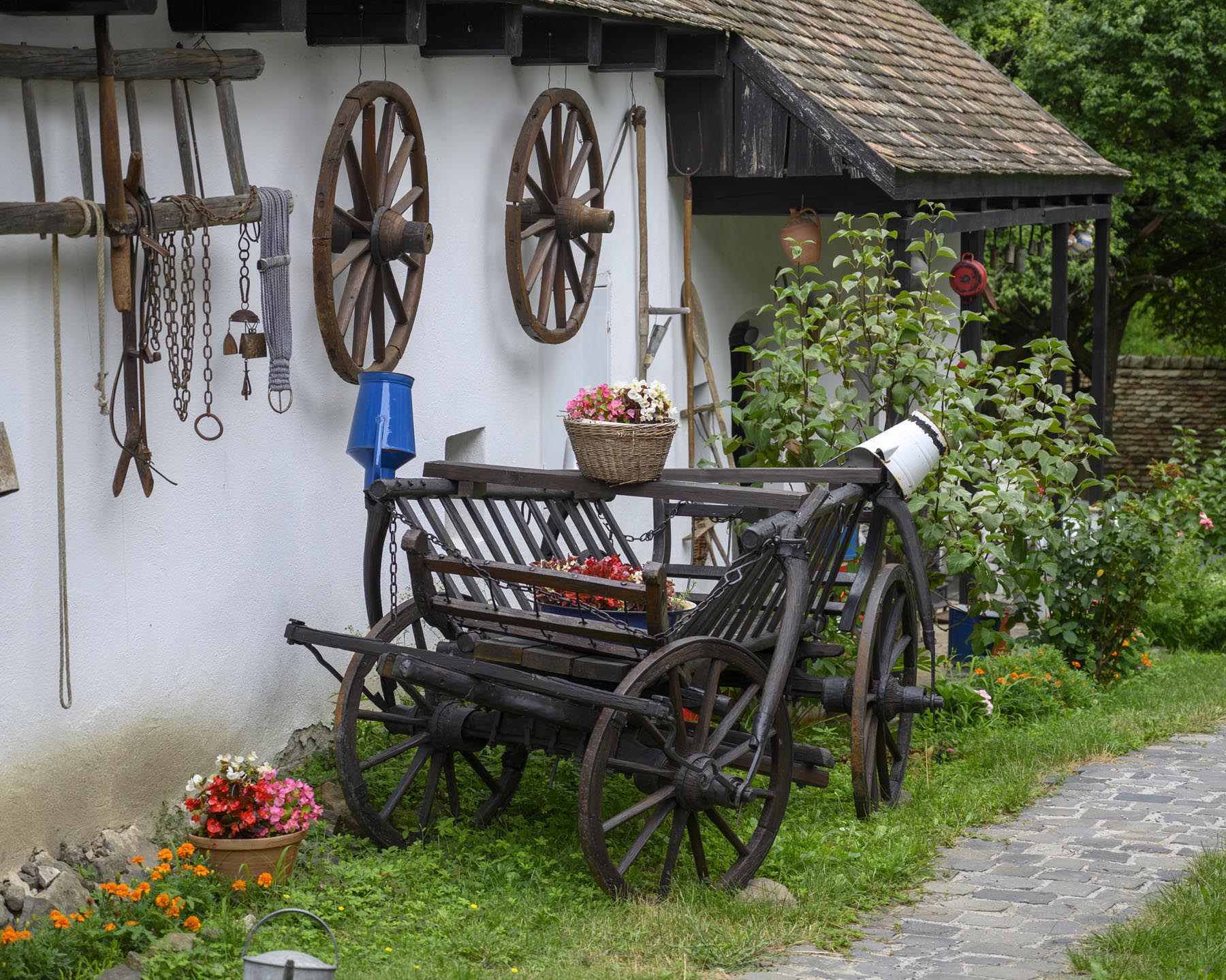 Szabó Rebeka fotográfus fotográfus vizsgaremek 