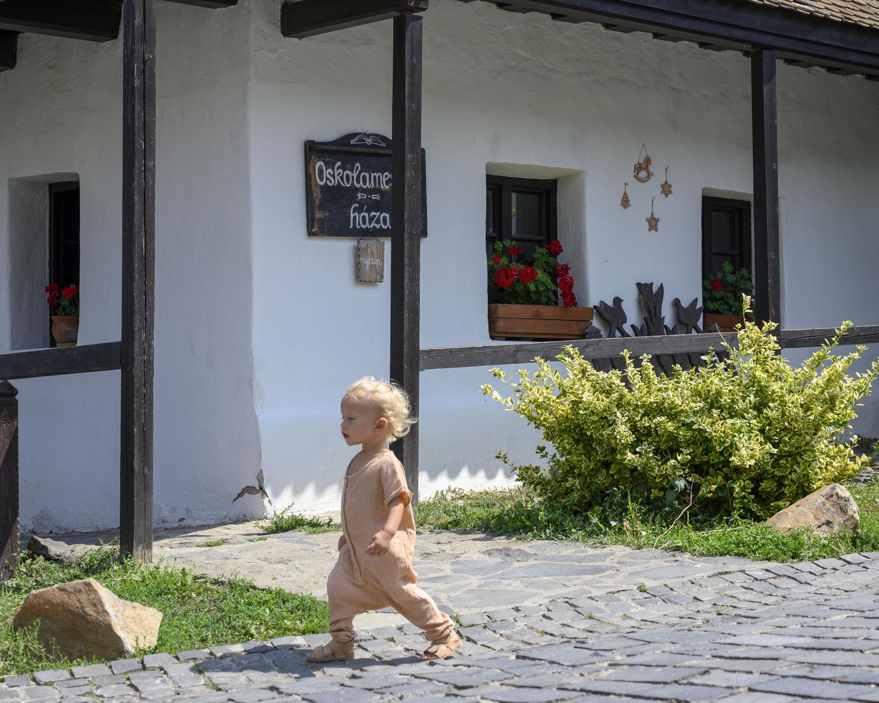 Szabó Rebeka fotográfus fotográfus vizsgaremek 