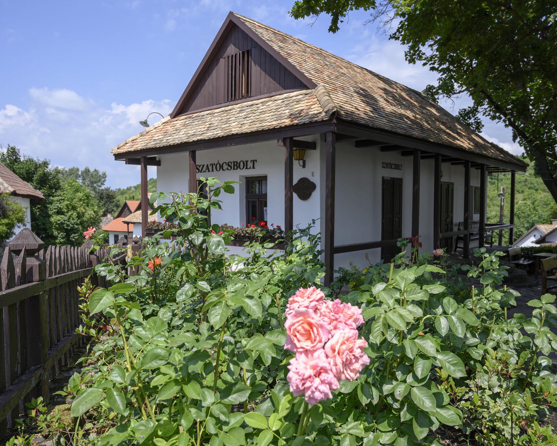 Szabó Rebeka fotográfus fotográfus vizsgaremek 