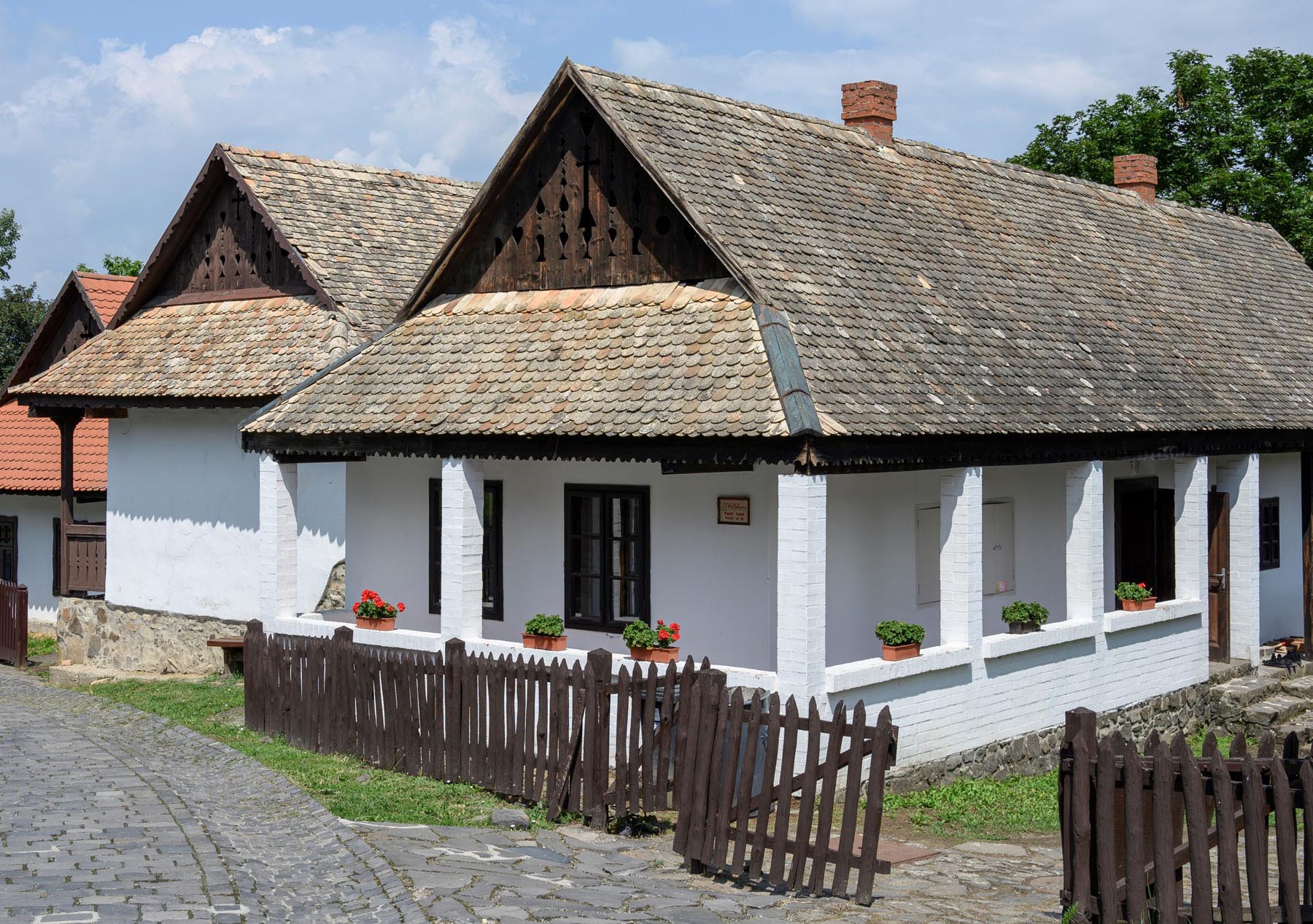 Szabó Rebeka fotográfus fotográfus vizsgaremek 