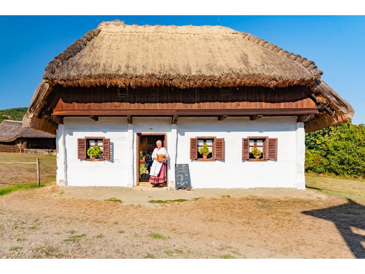 Szamosi Gusztáv fotográfus fotográfus vizsgaremek 