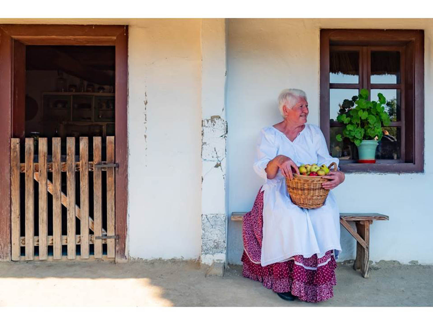 Szamosi Gusztáv fotográfus fotográfus vizsgaremek 