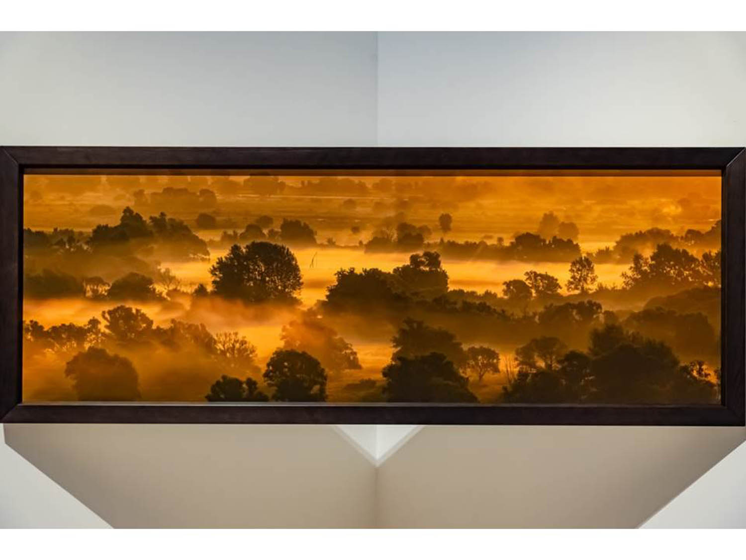 Szamosi Gusztáv fotográfus fotográfus vizsgaremek 