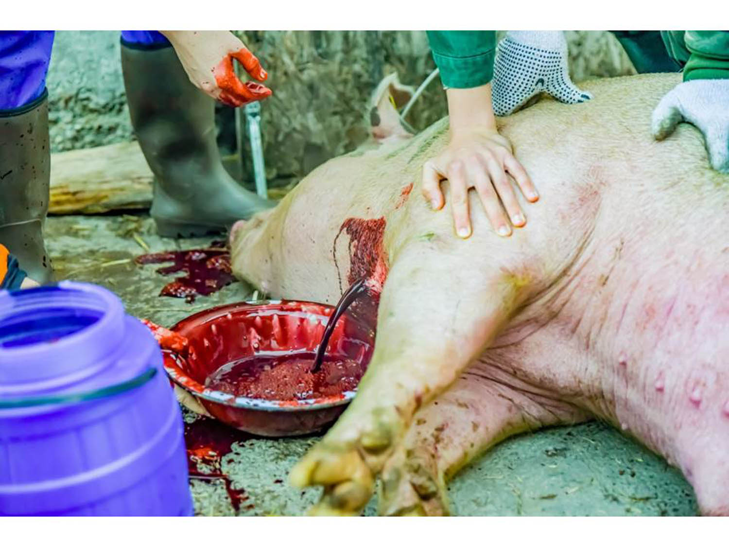 Szamosi Gusztáv fotográfus fotográfus vizsgaremek 