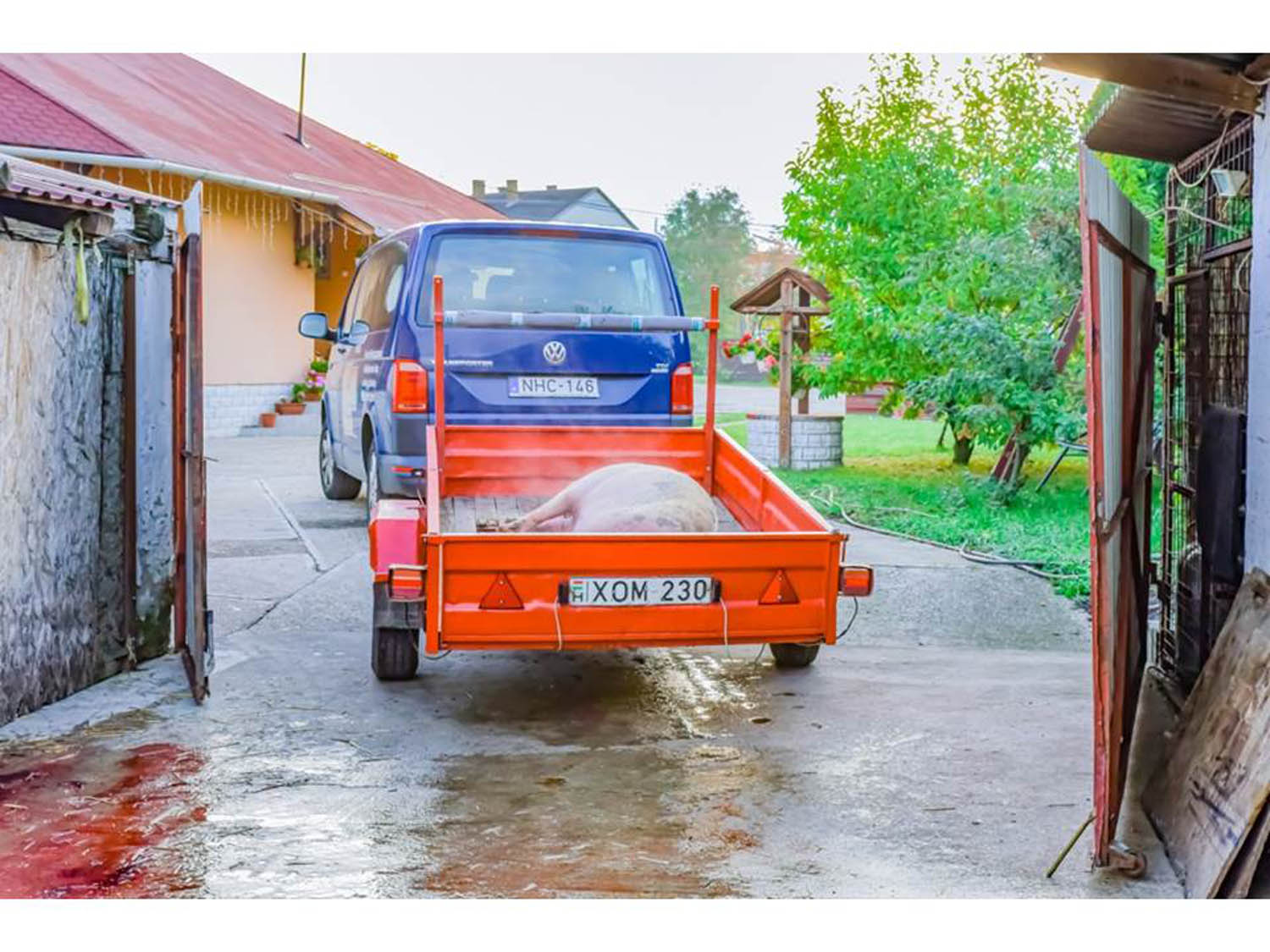 Szamosi Gusztáv fotográfus fotográfus vizsgaremek 