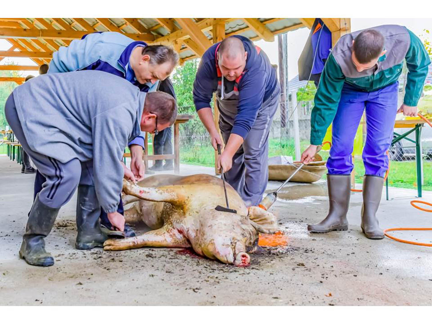 Szamosi Gusztáv fotográfus fotográfus vizsgaremek 