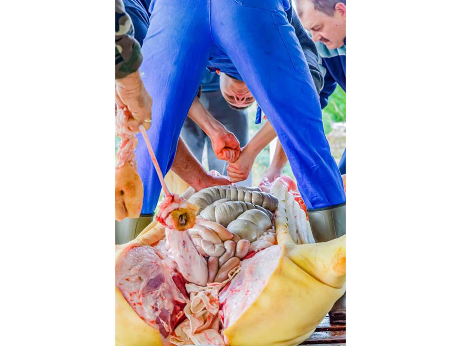 Szamosi Gusztáv fotográfus fotográfus vizsgaremek 