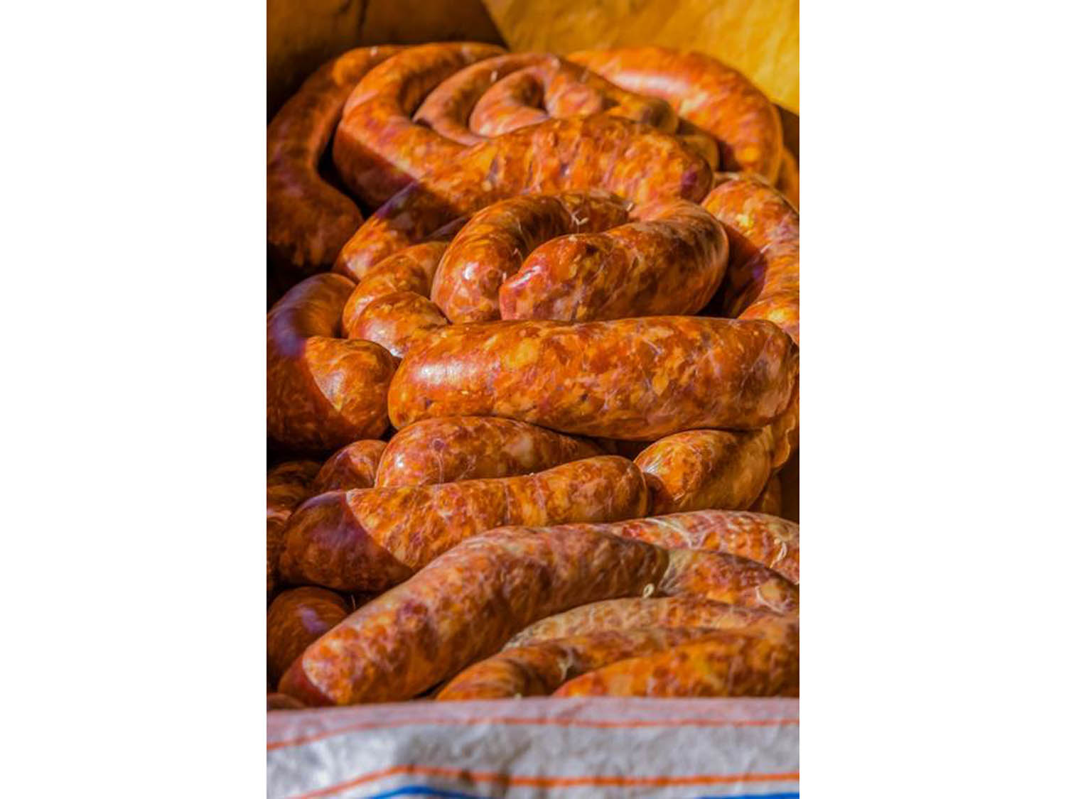 Szamosi Gusztáv fotográfus fotográfus vizsgaremek 