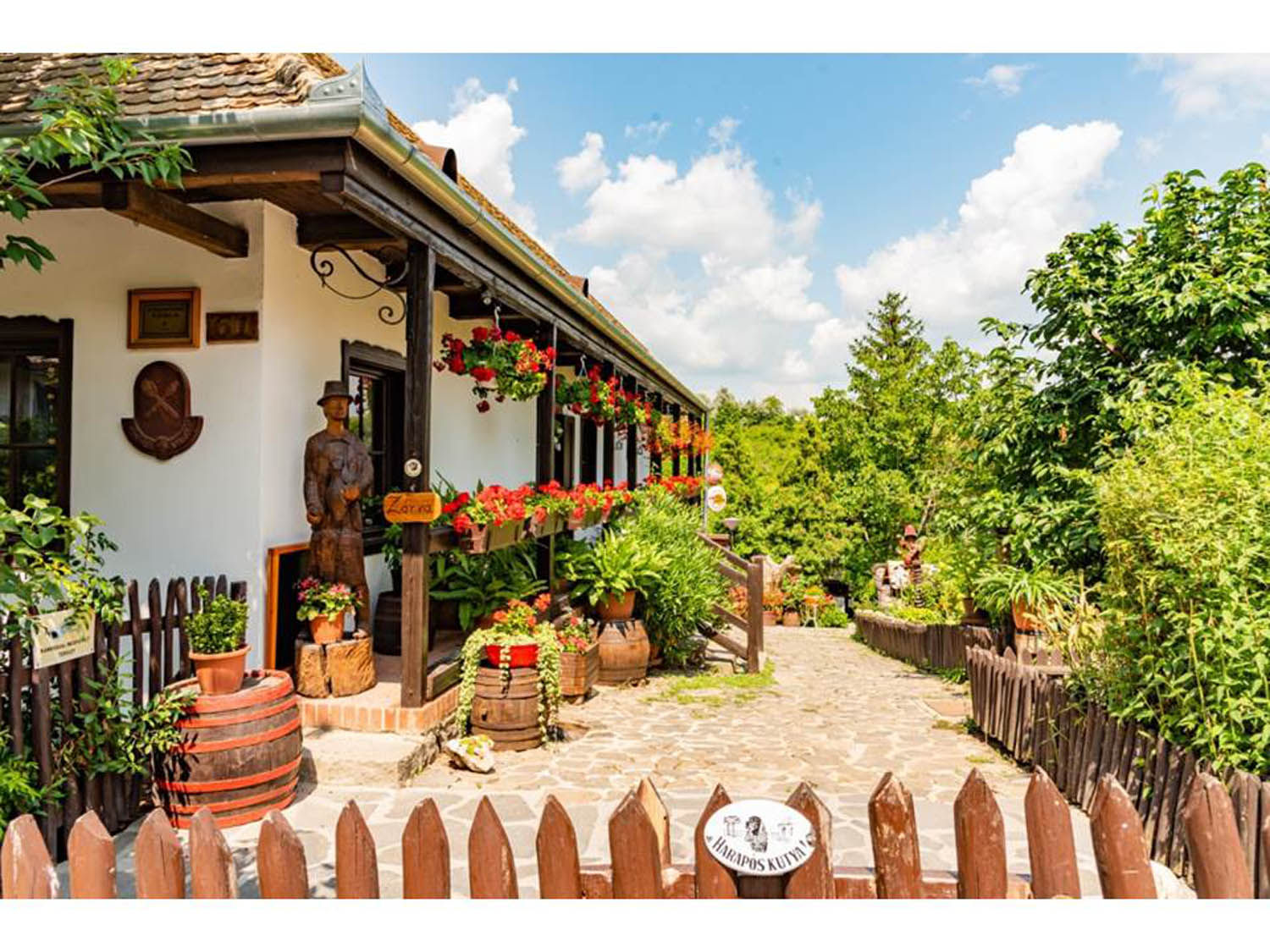 Szamosi Gusztáv fotográfus fotográfus vizsgaremek 