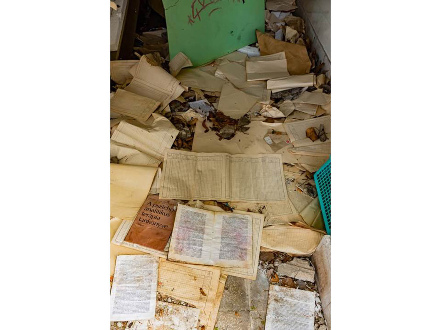 Szamosi Gusztáv fotográfus fotográfus vizsgaremek 