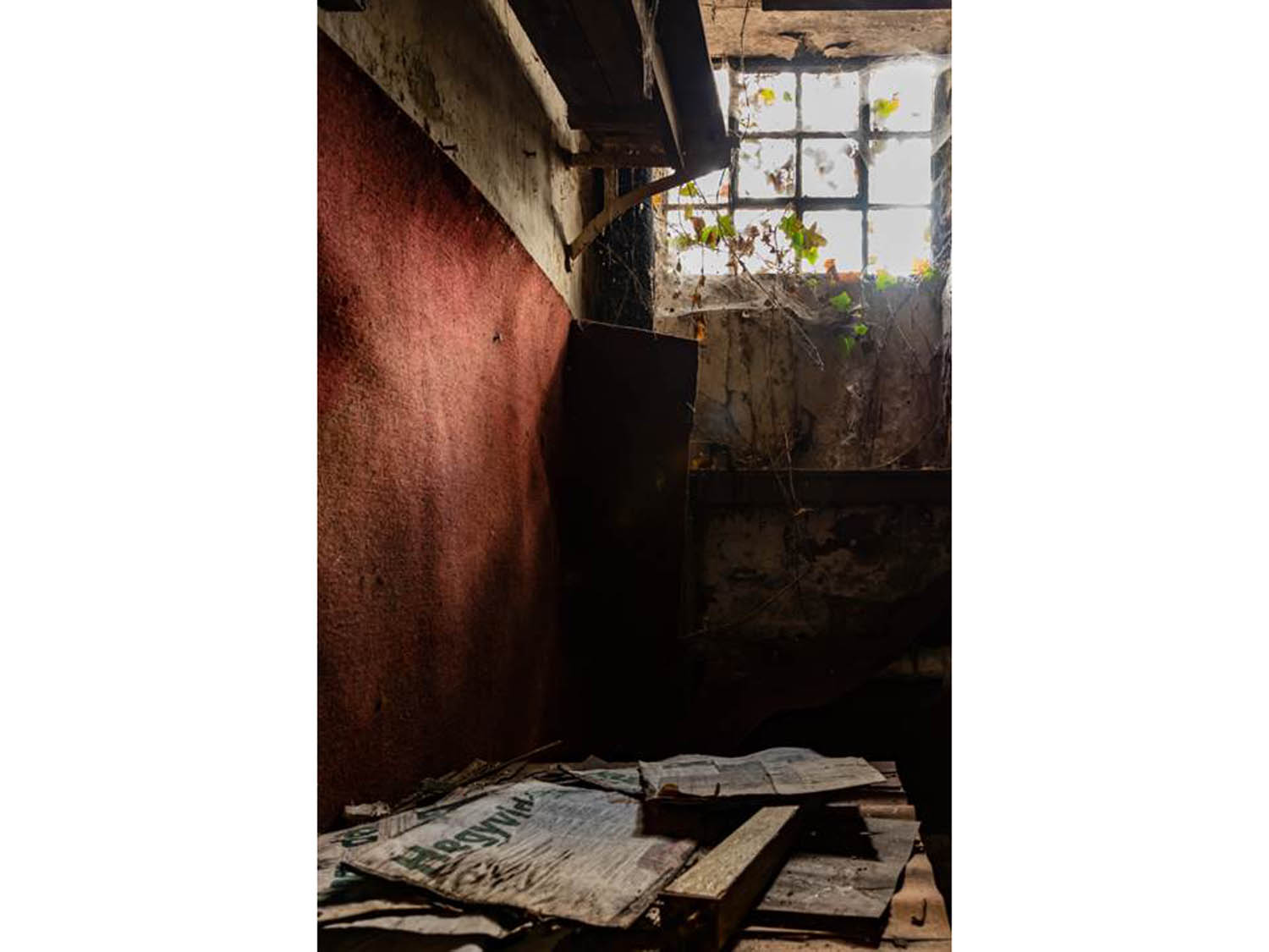 Szamosi Gusztáv fotográfus fotográfus vizsgaremek 