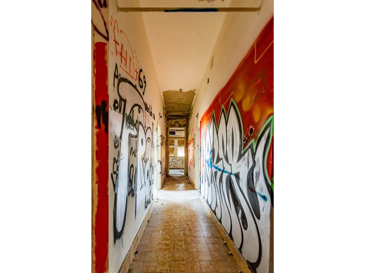 Szamosi Gusztáv fotográfus fotográfus vizsgaremek 