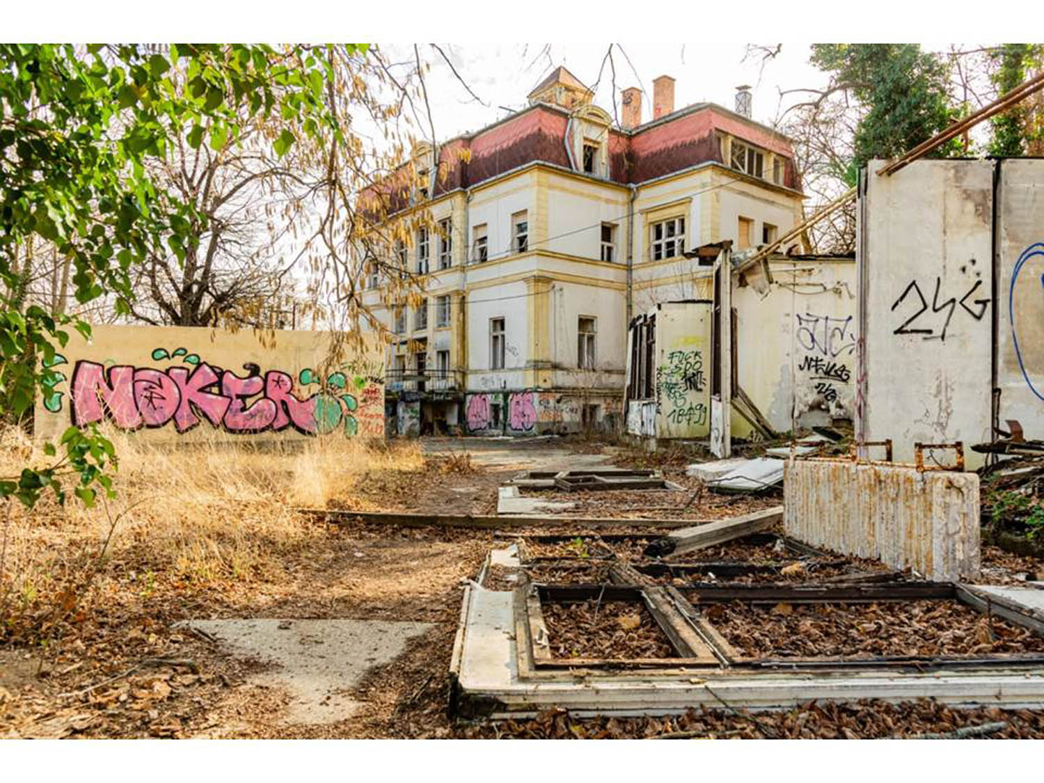 Szamosi Gusztáv fotográfus fotográfus vizsgaremek 