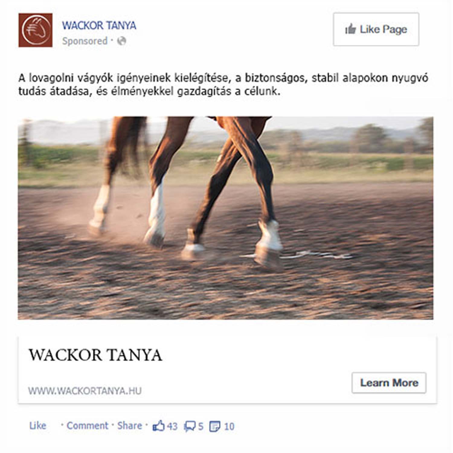 Bertényi Ildikó grafikus képzés végén leadott vizsgaremek 