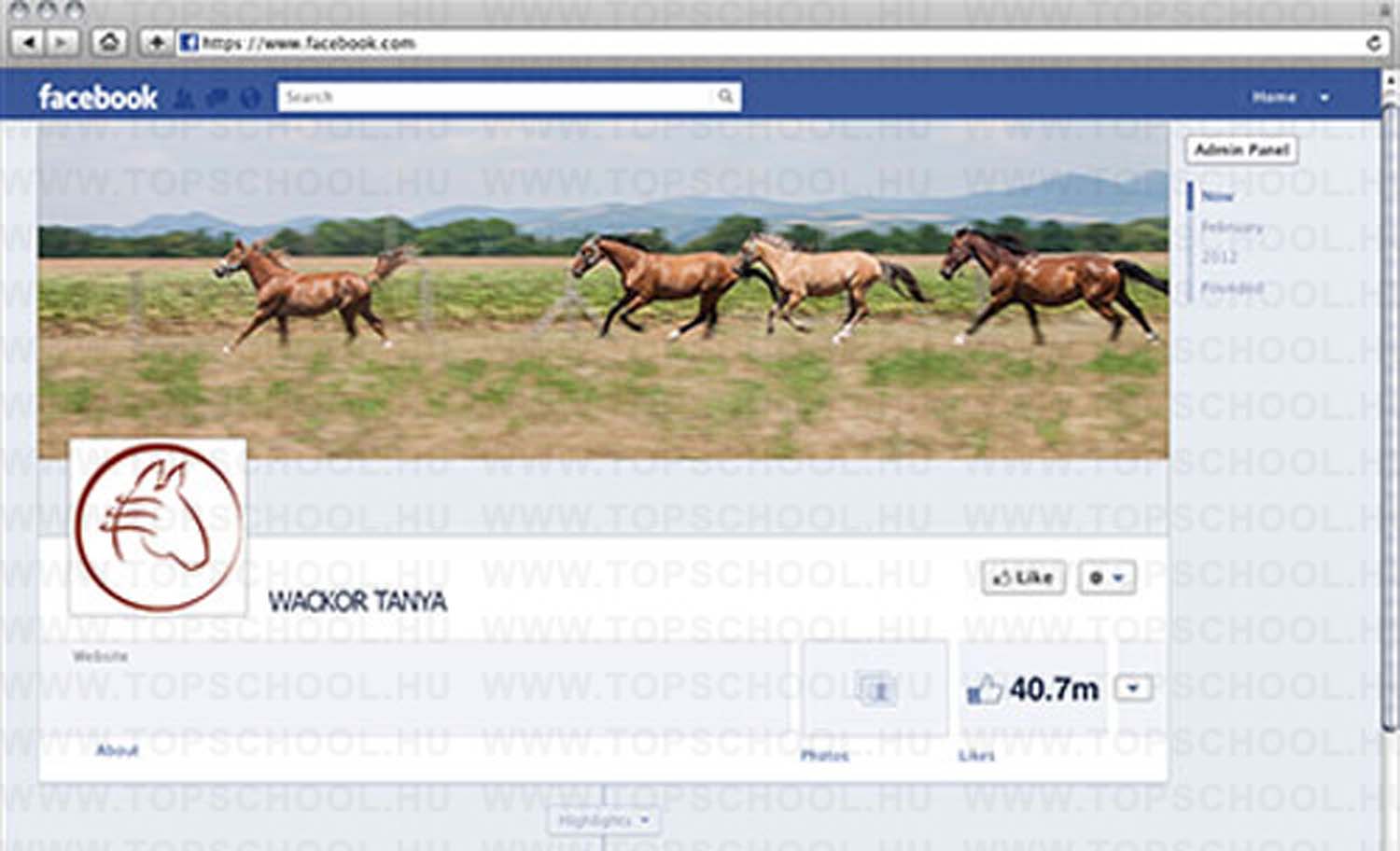 Bertényi Ildikó grafikus képzés végén leadott vizsgaremek 