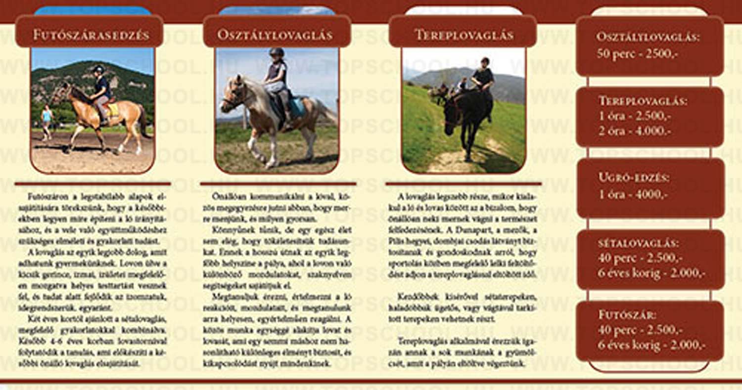 Bertényi Ildikó grafikus képzés végén leadott vizsgaremek 