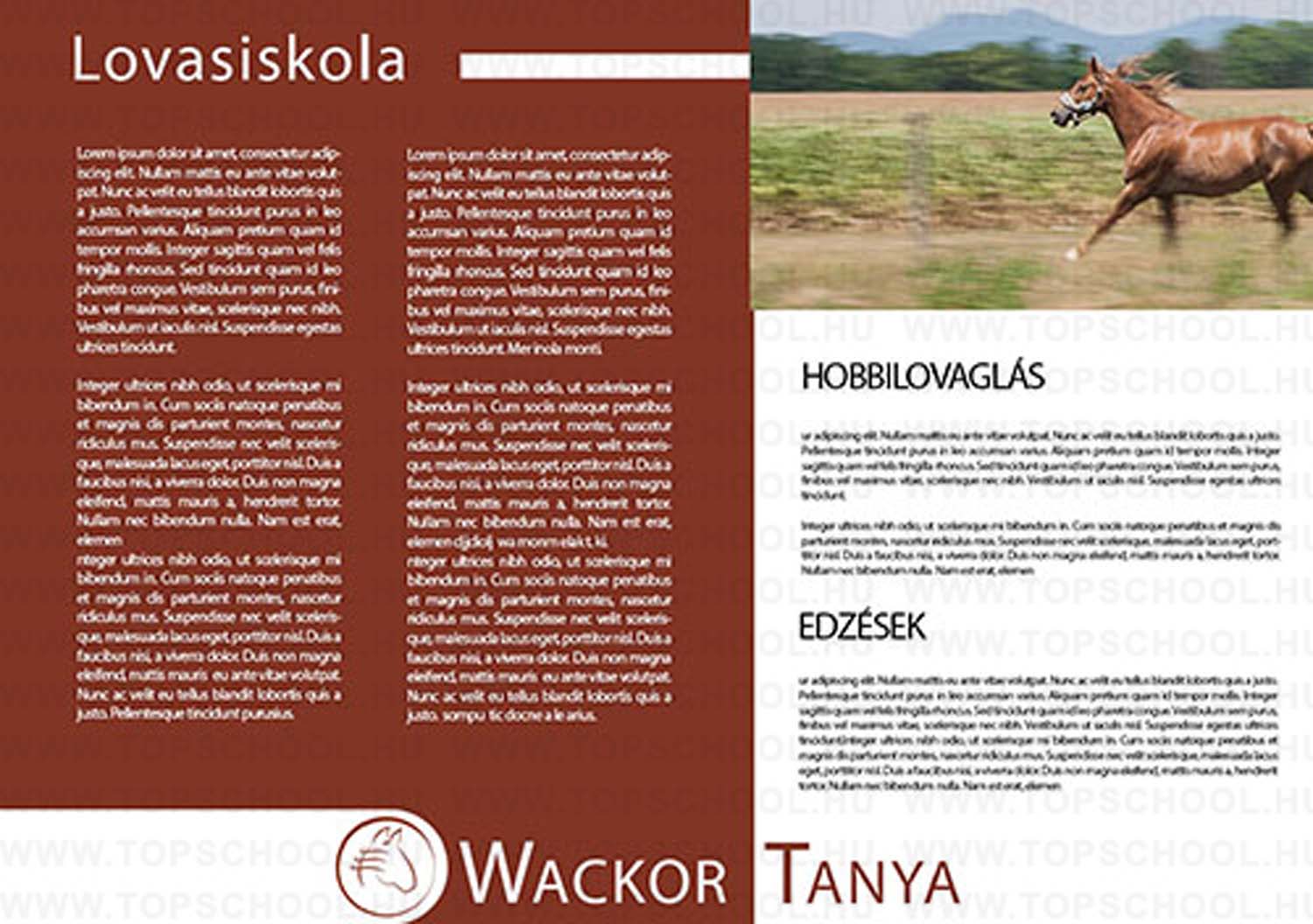 Bertényi Ildikó grafikus képzés végén leadott vizsgaremek 