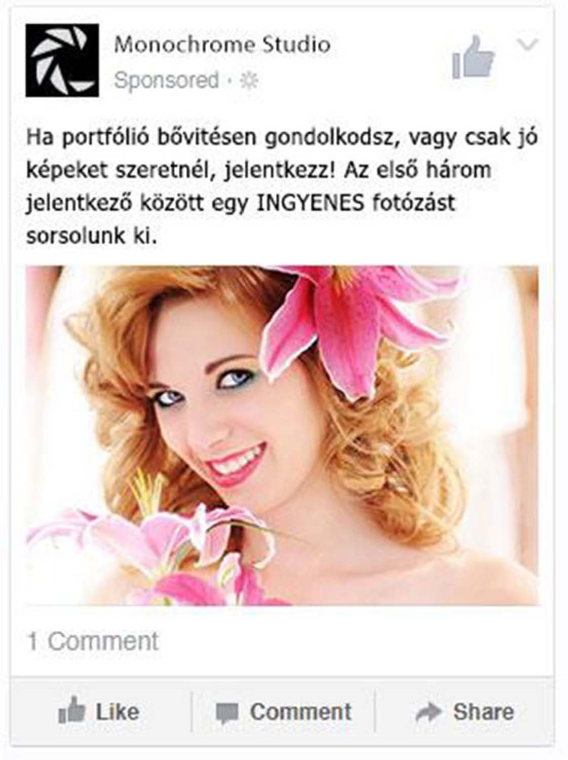 Hullár József grafikus képzés végén leadott vizsgaremek 