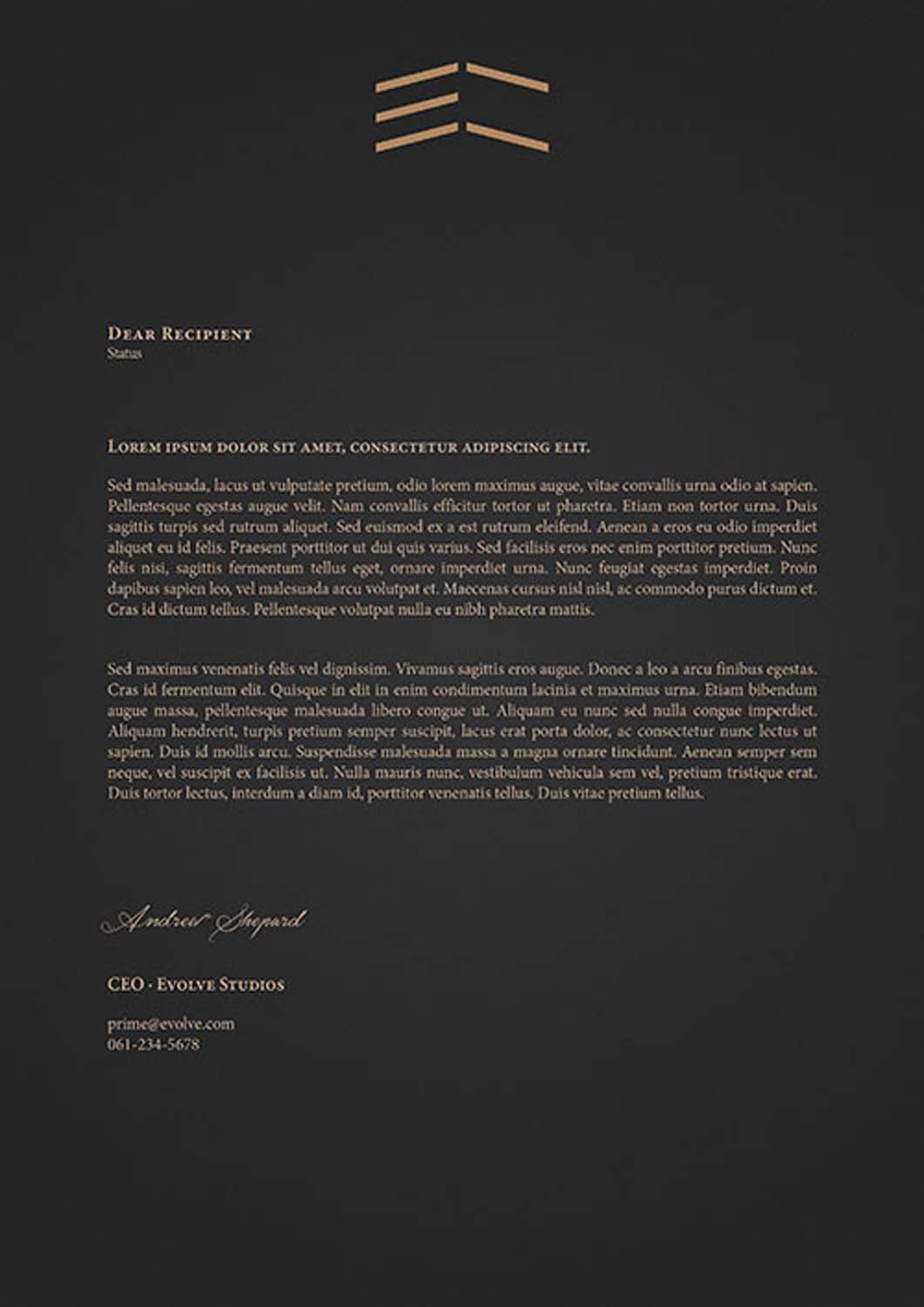 Juhász András Zsolt grafikus képzés végén leadott vizsgaremek 