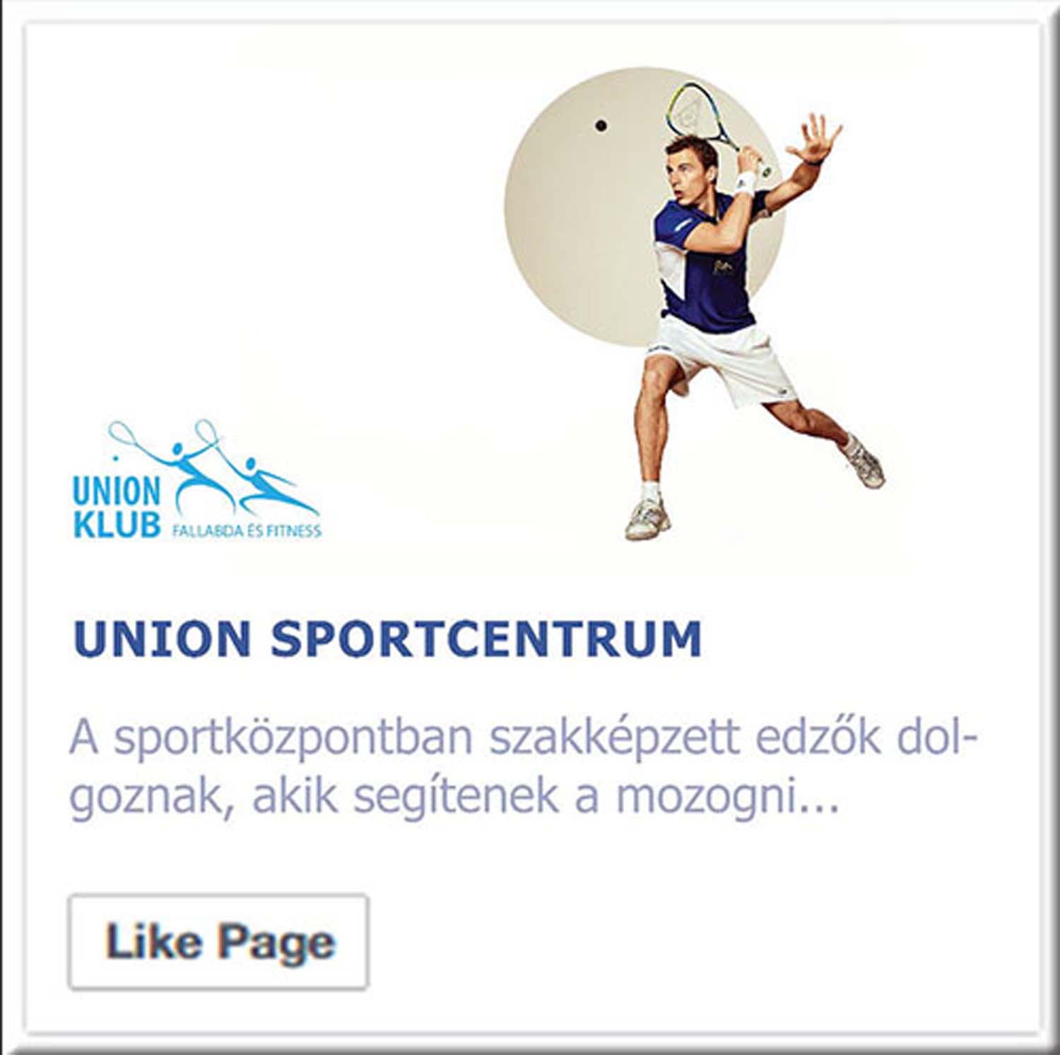 Kulifai Ágnes grafikus képzés végén leadott vizsgaremek 