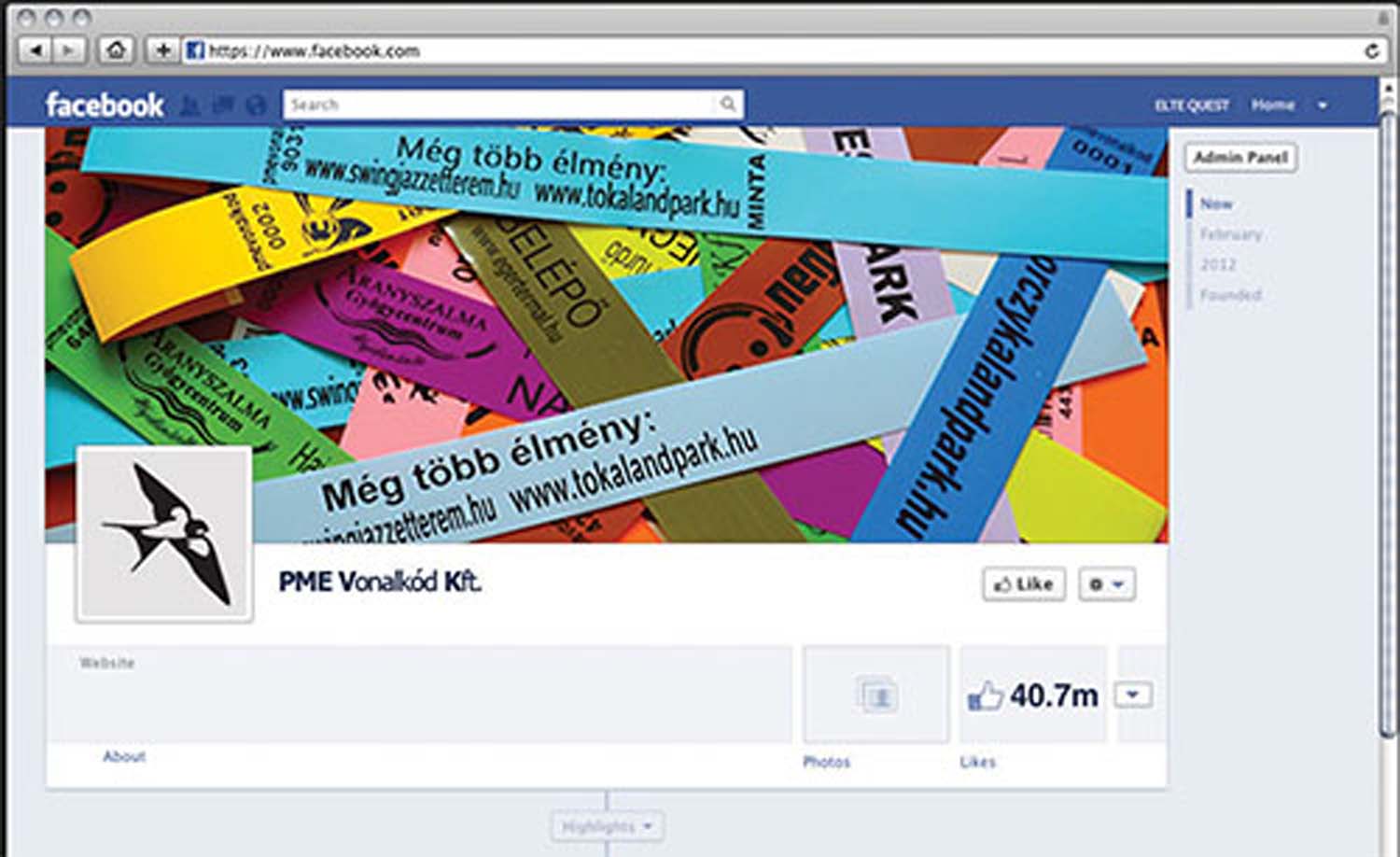 Pozsik Tamás grafikus képzés végén leadott vizsgaremek 