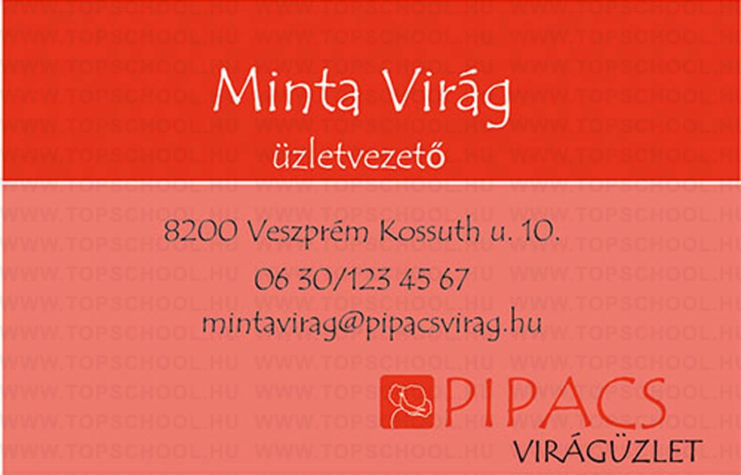 Sebestyén Anita grafikus képzés végén leadott vizsgaremek 