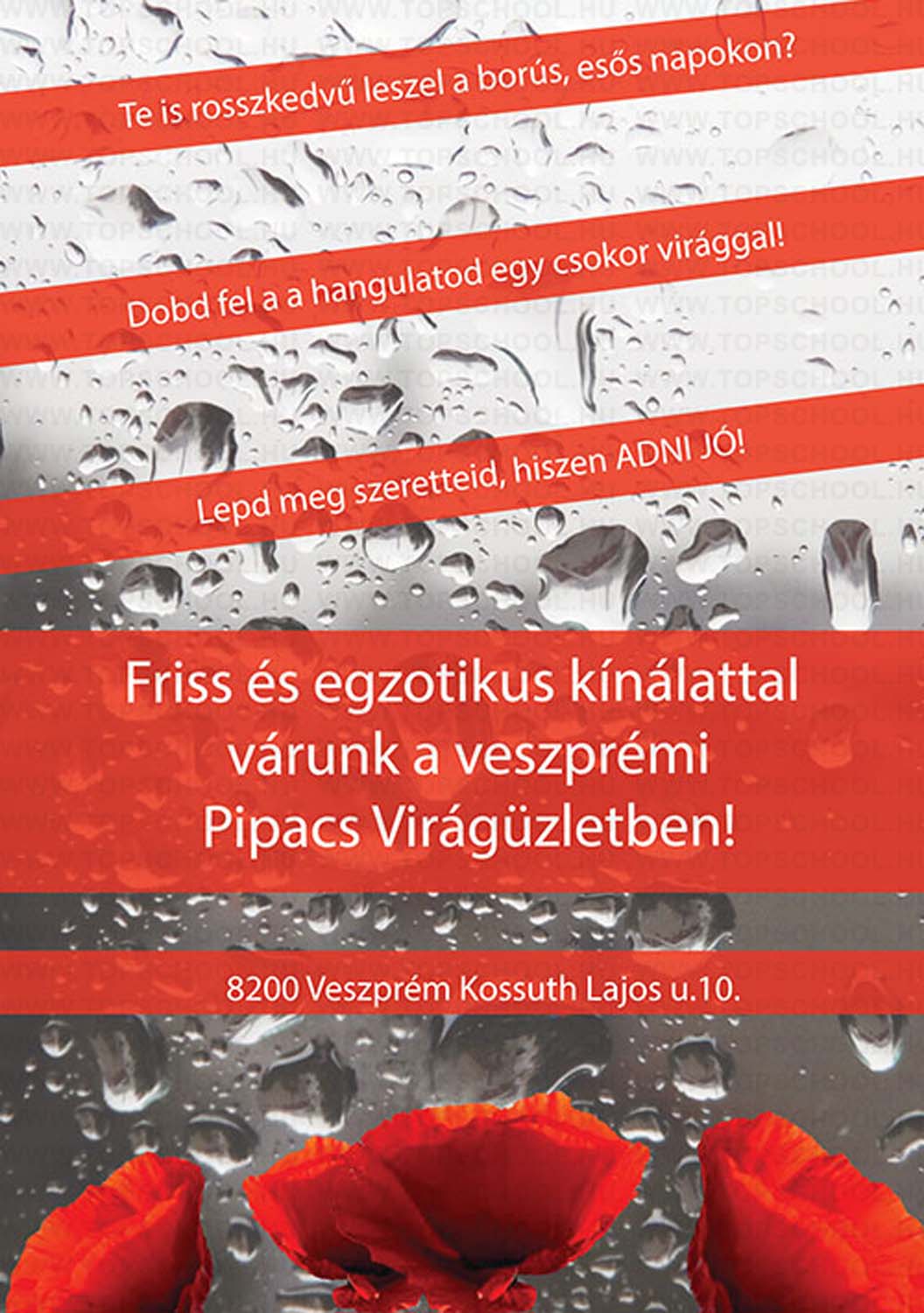 Sebestyén Anita grafikus képzés végén leadott vizsgaremek 