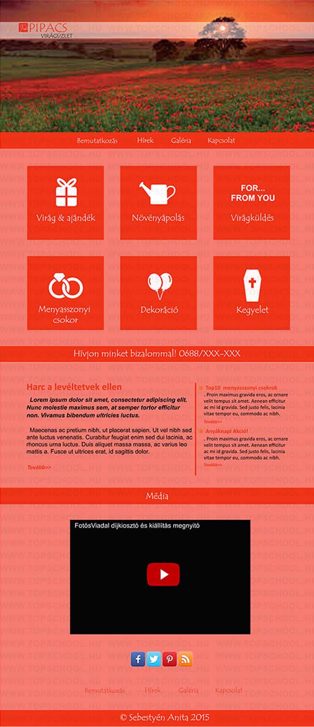 Sebestyén Anita grafikus képzés végén leadott vizsgaremek 