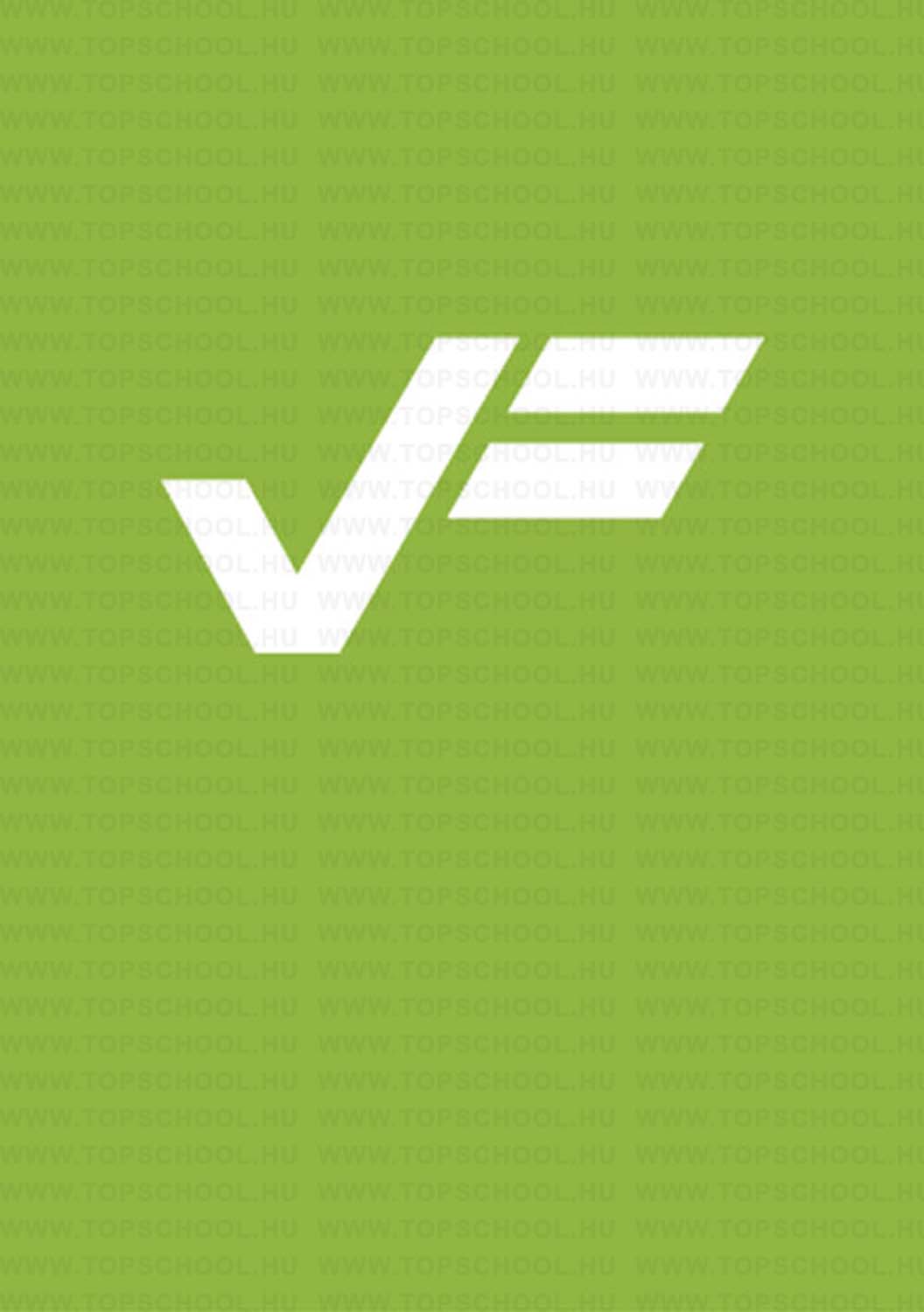 Soós Brigitta grafikus képzés végén leadott vizsgaremek 