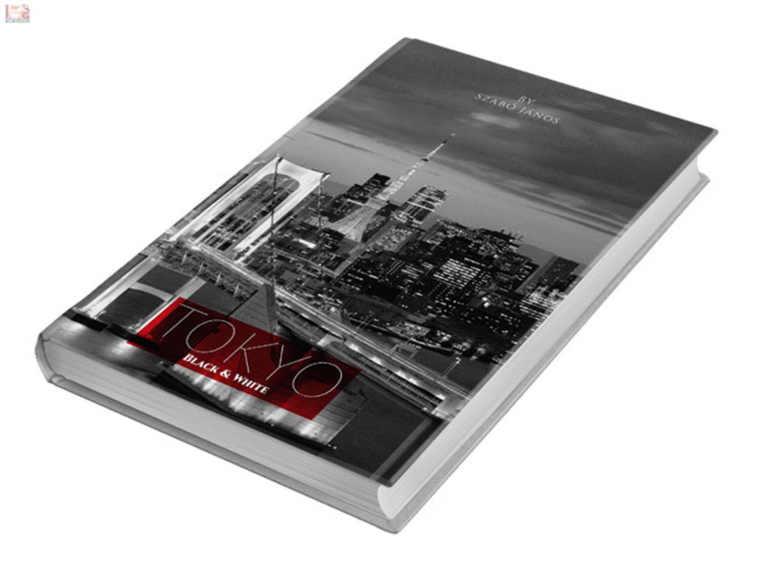 Szabó János grafikus képzés végén leadott portfólió 