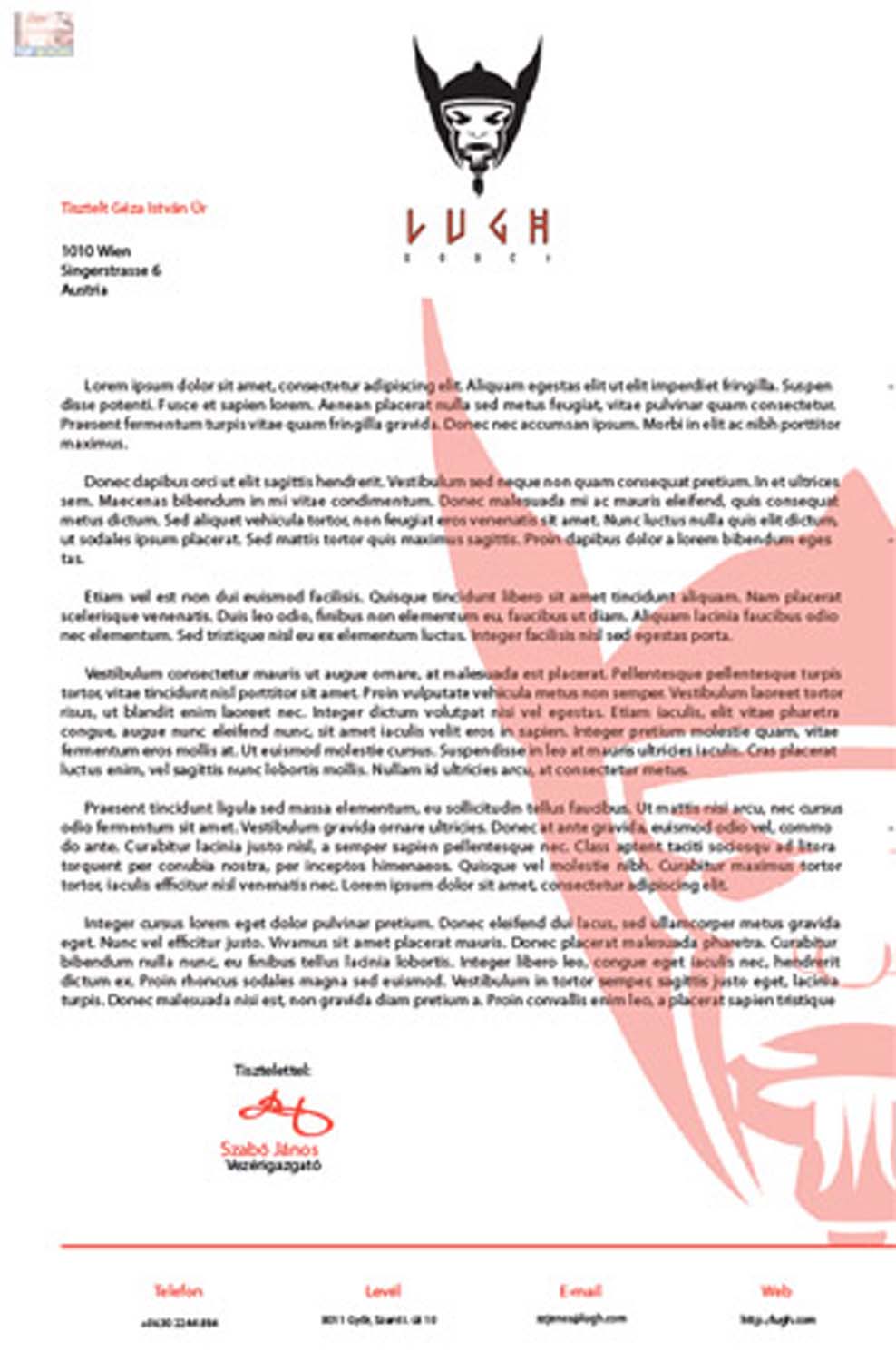 Szabó János grafikus képzés végén leadott vizsgaremek 